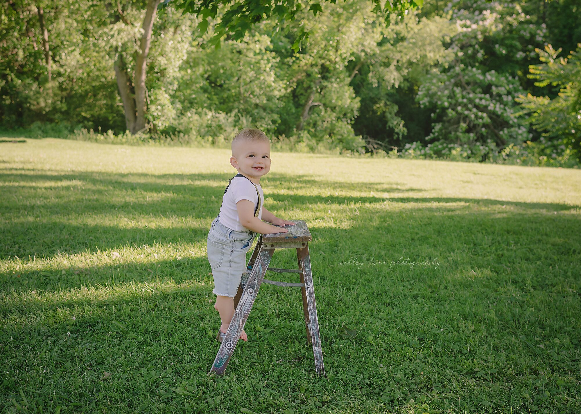 first birthday photographer pittsburgh
