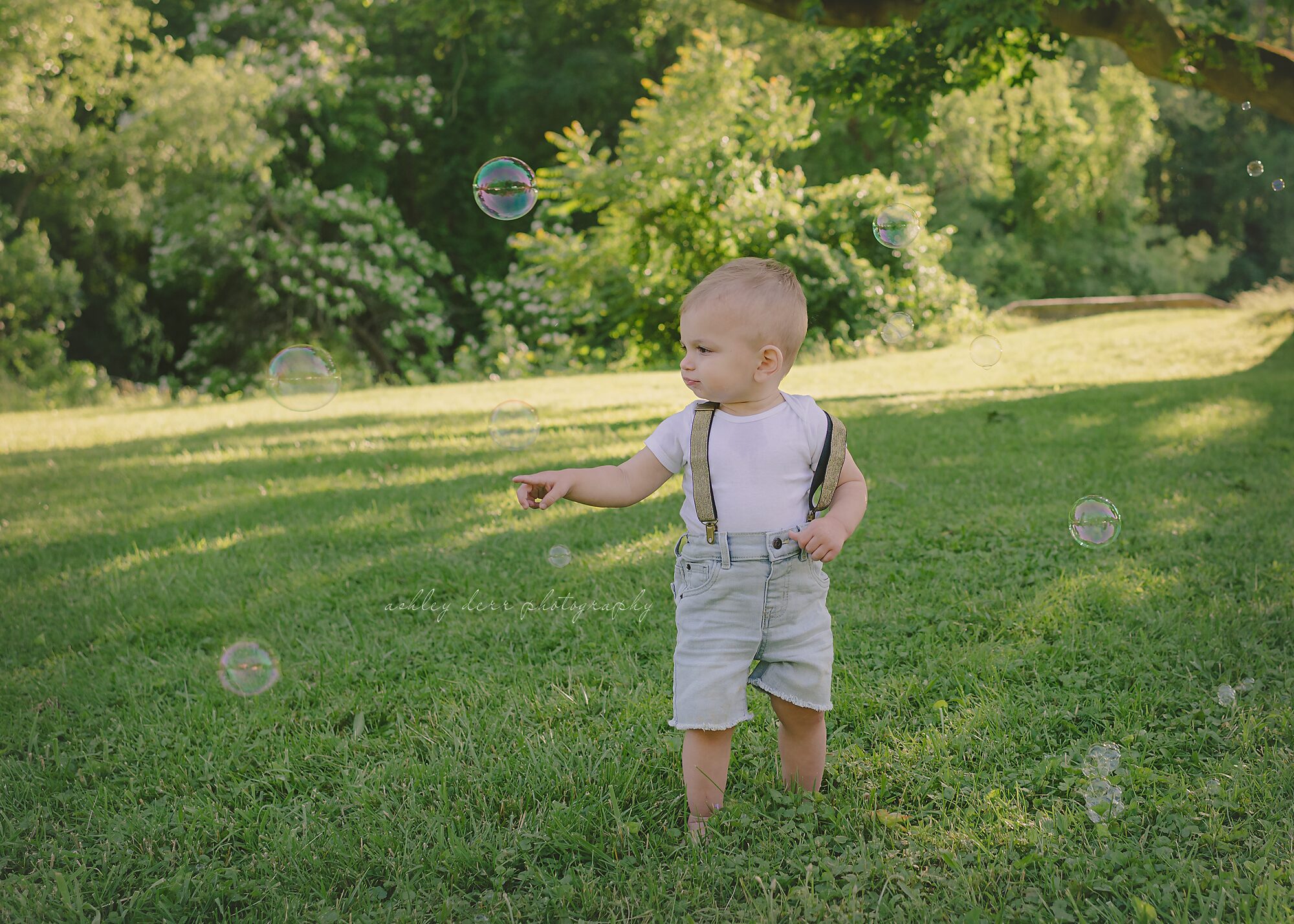 first birthday photographer pittsburgh
