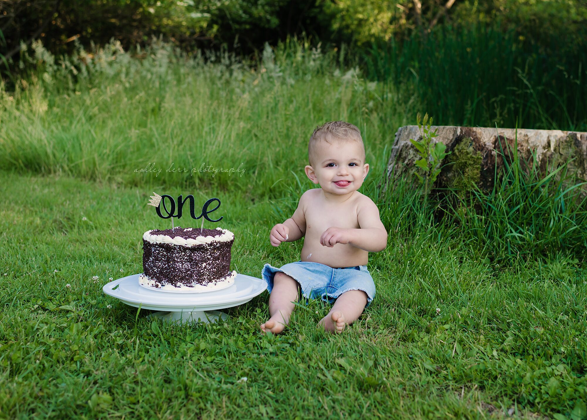 first birthday photographer pittsburgh