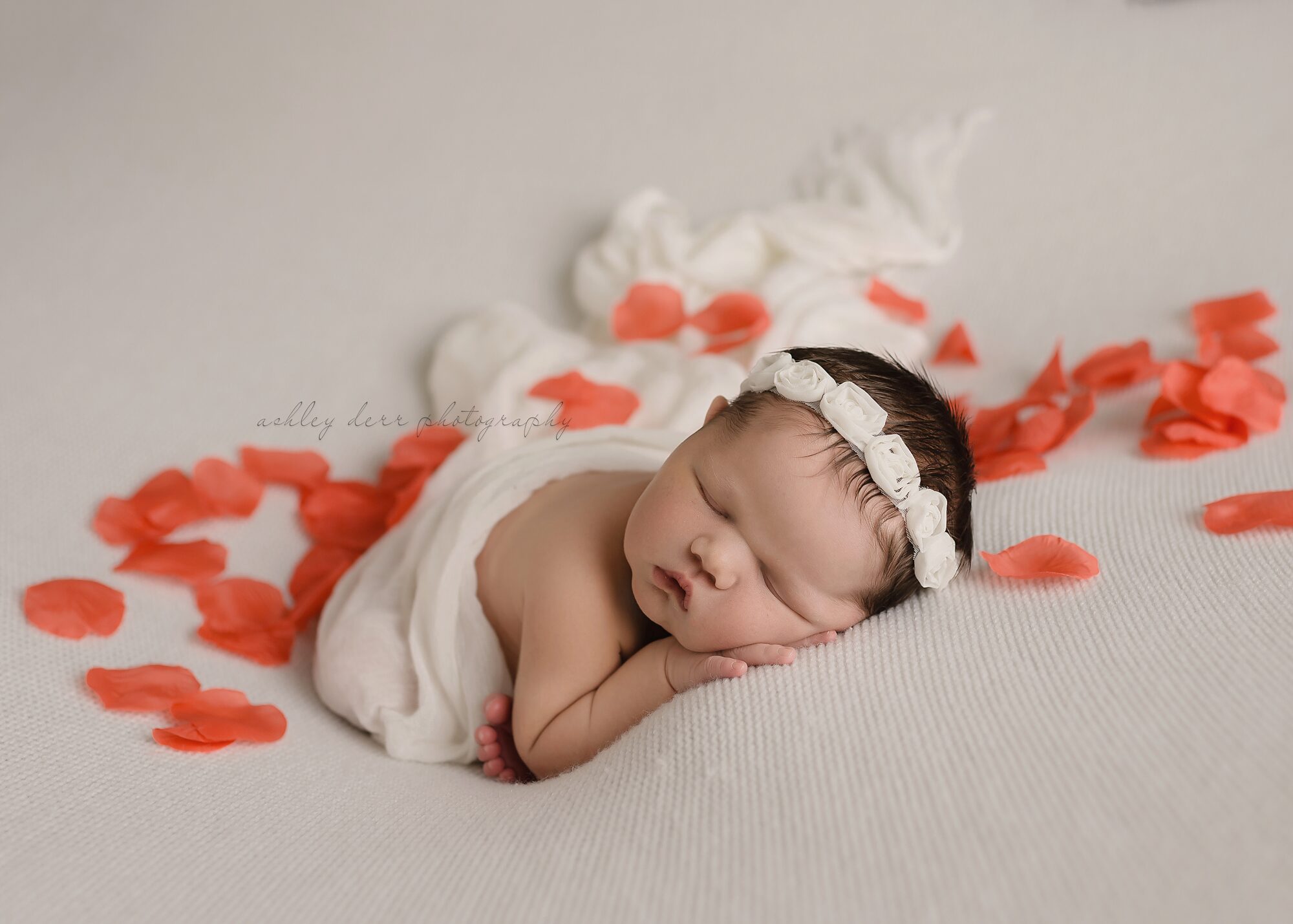 newborn photographer 16063