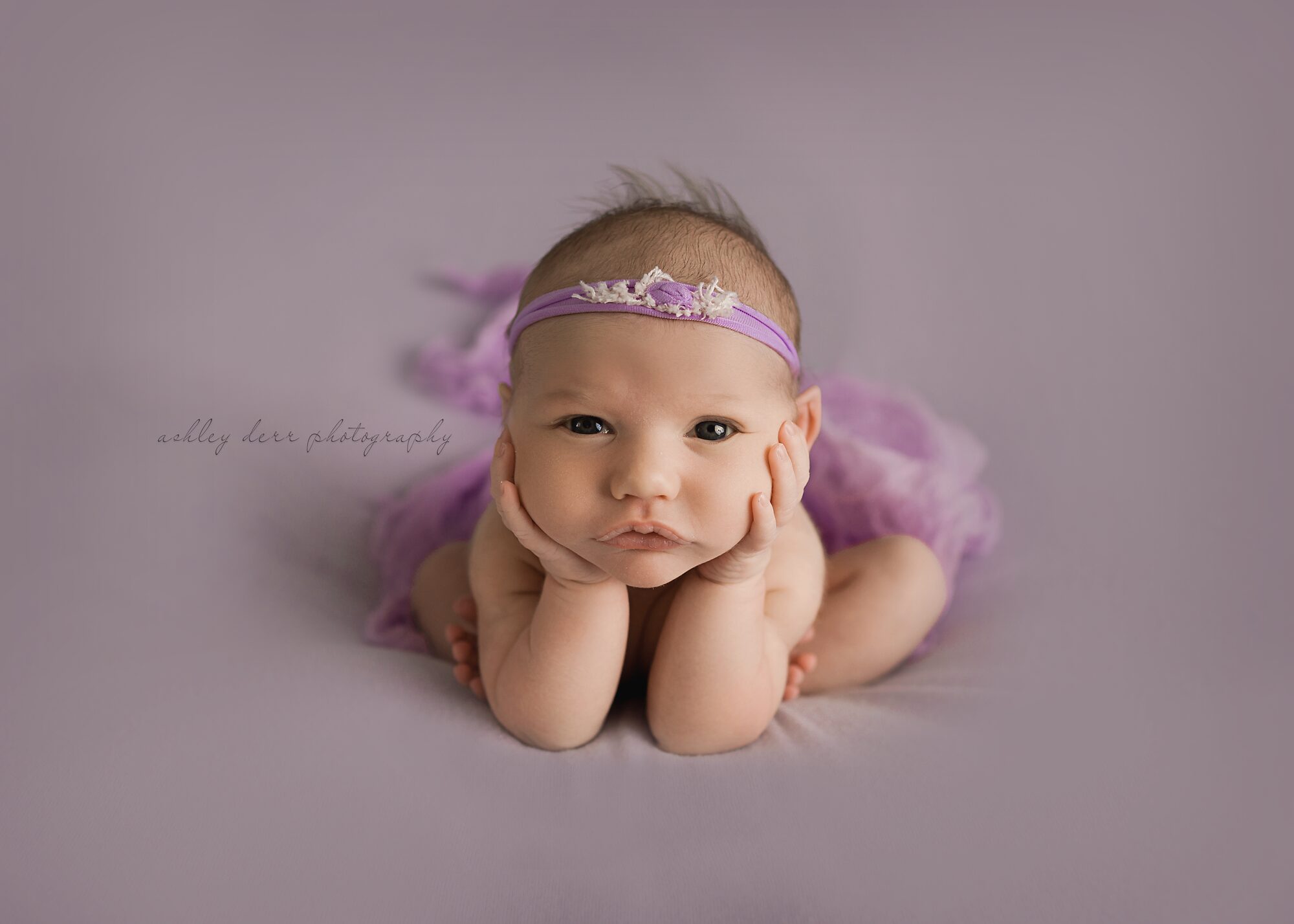 Aliquippa photographer 15001