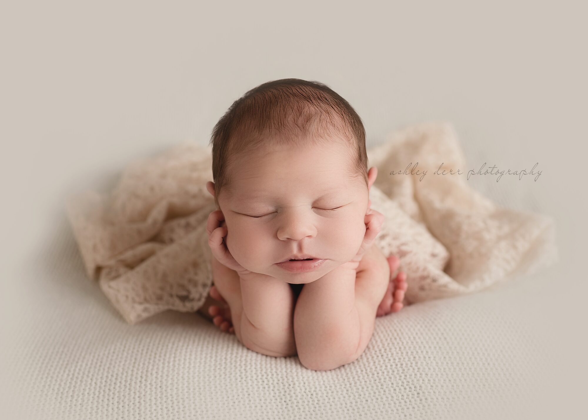 brookline newborn photographer
