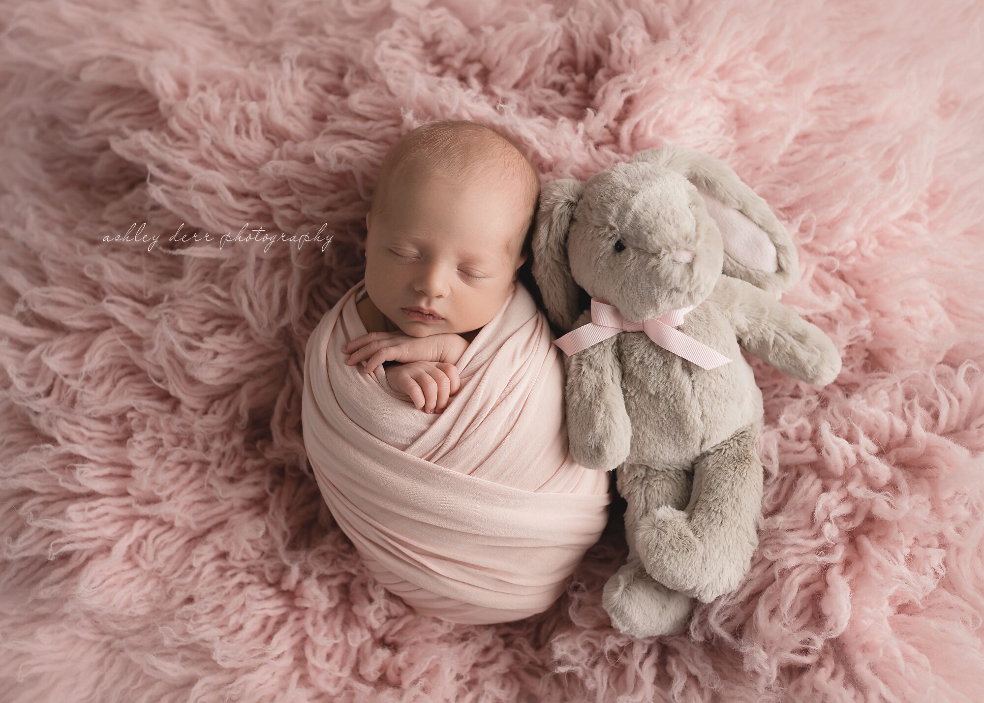 baby photographer 15237