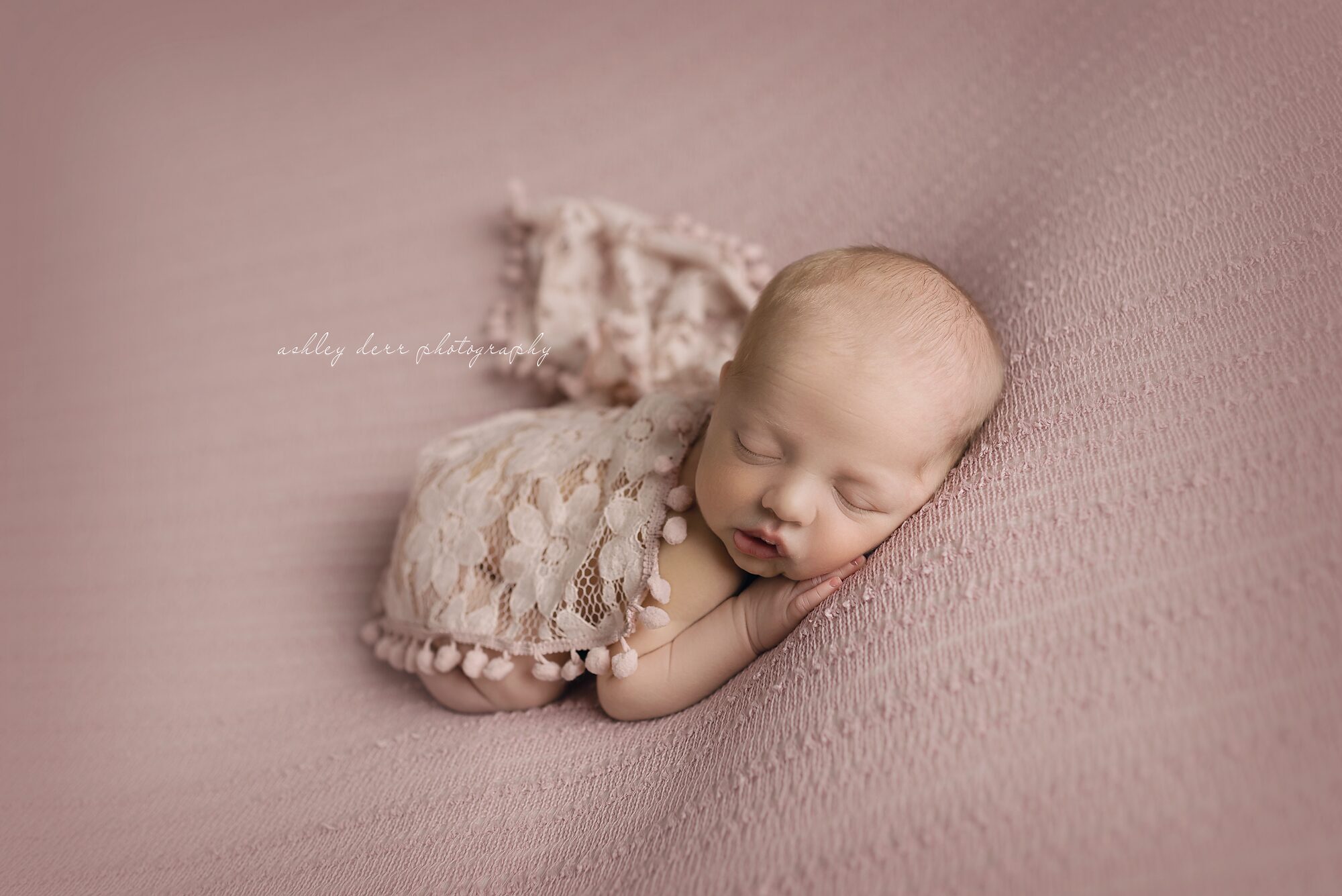 baby photographer 15237