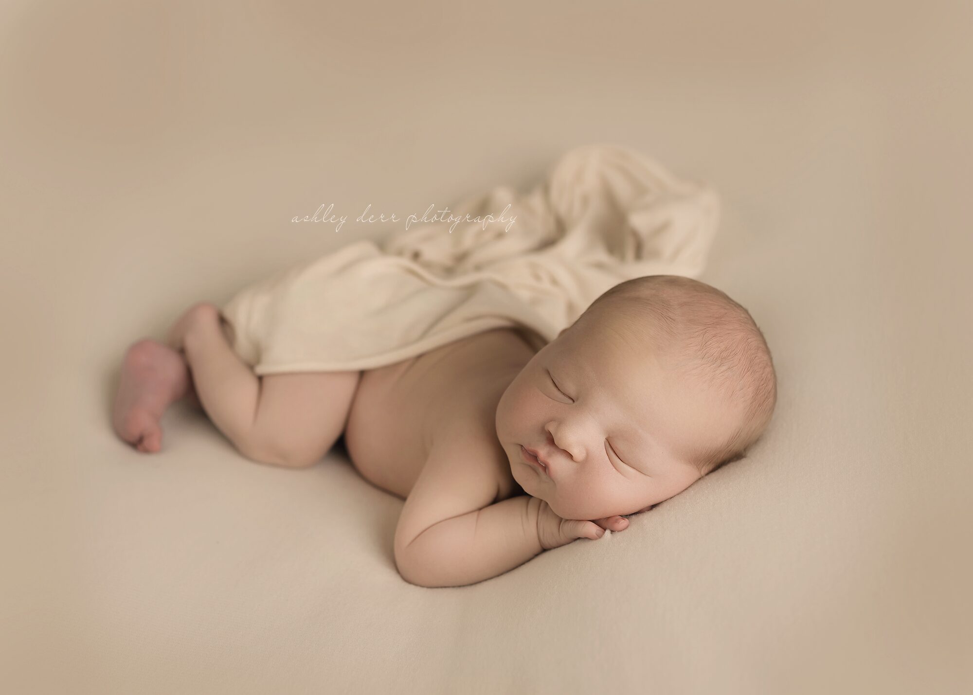 newborn boy photography session in Valencia pa