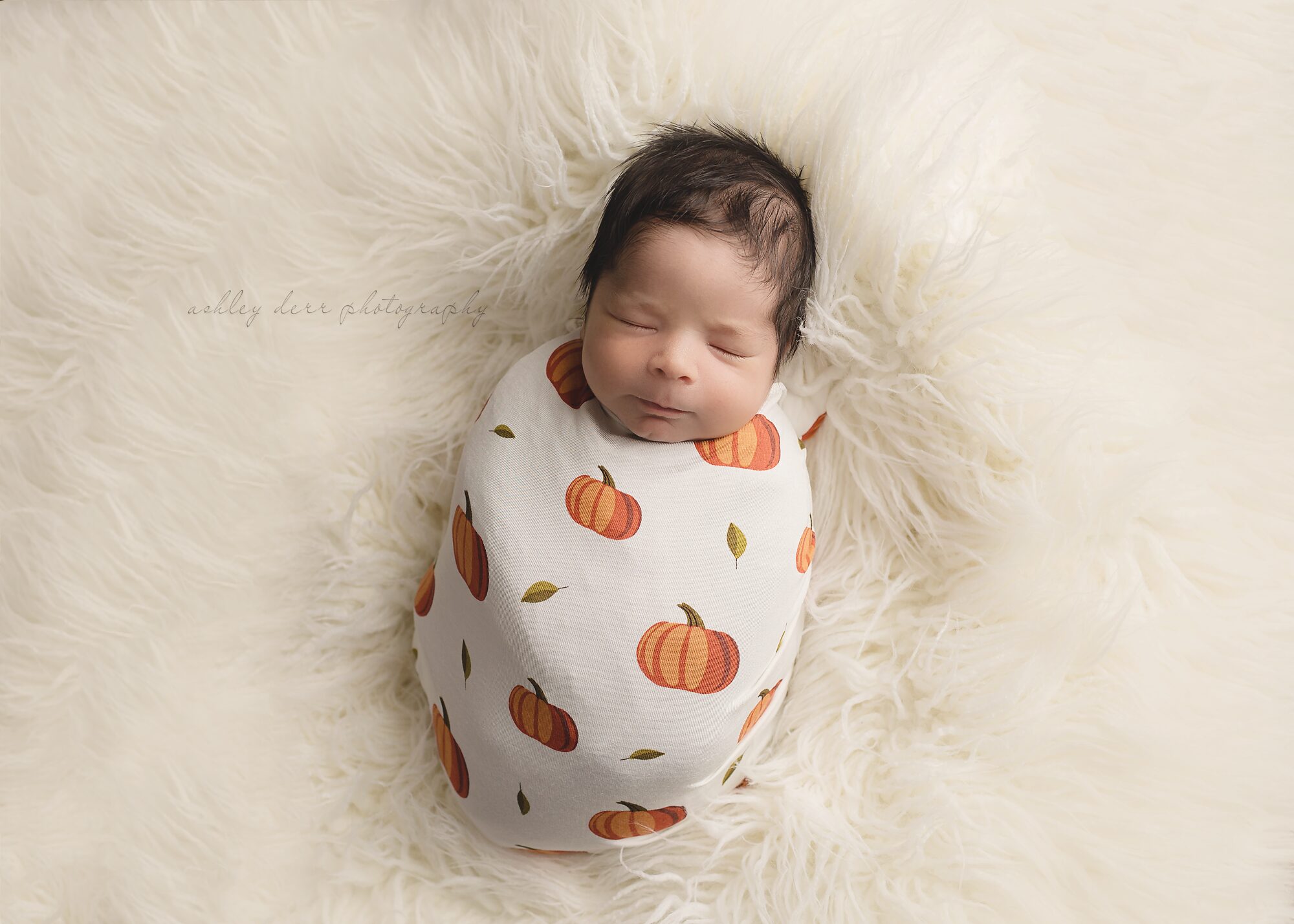 newborn baby boy photography session in pittsburgh pa