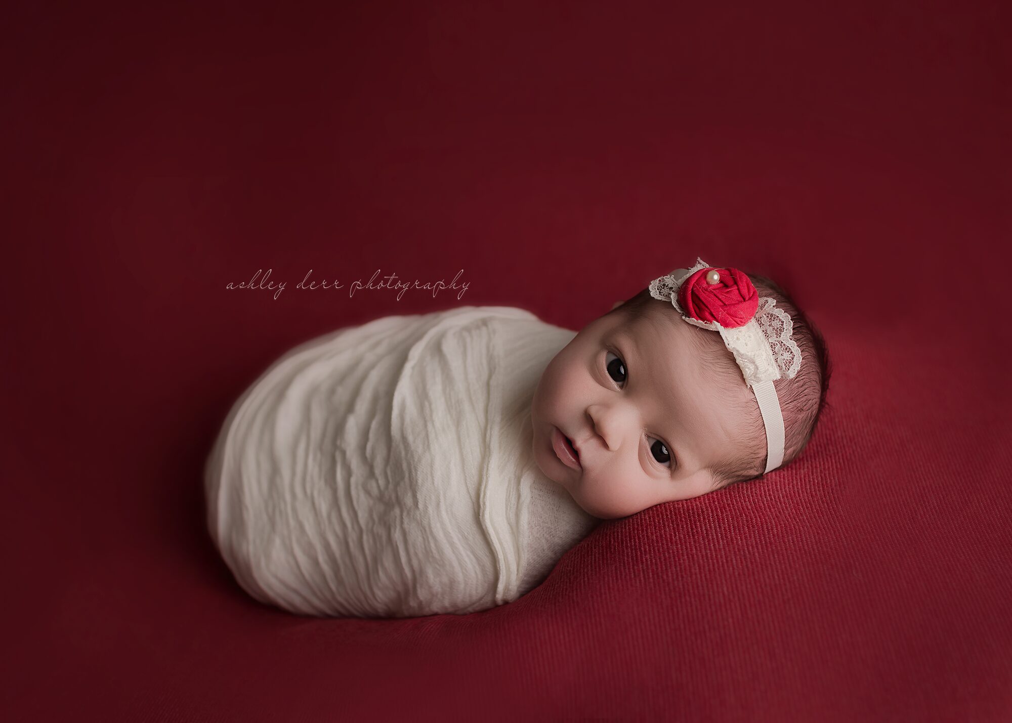 cranberry township newborn photographer