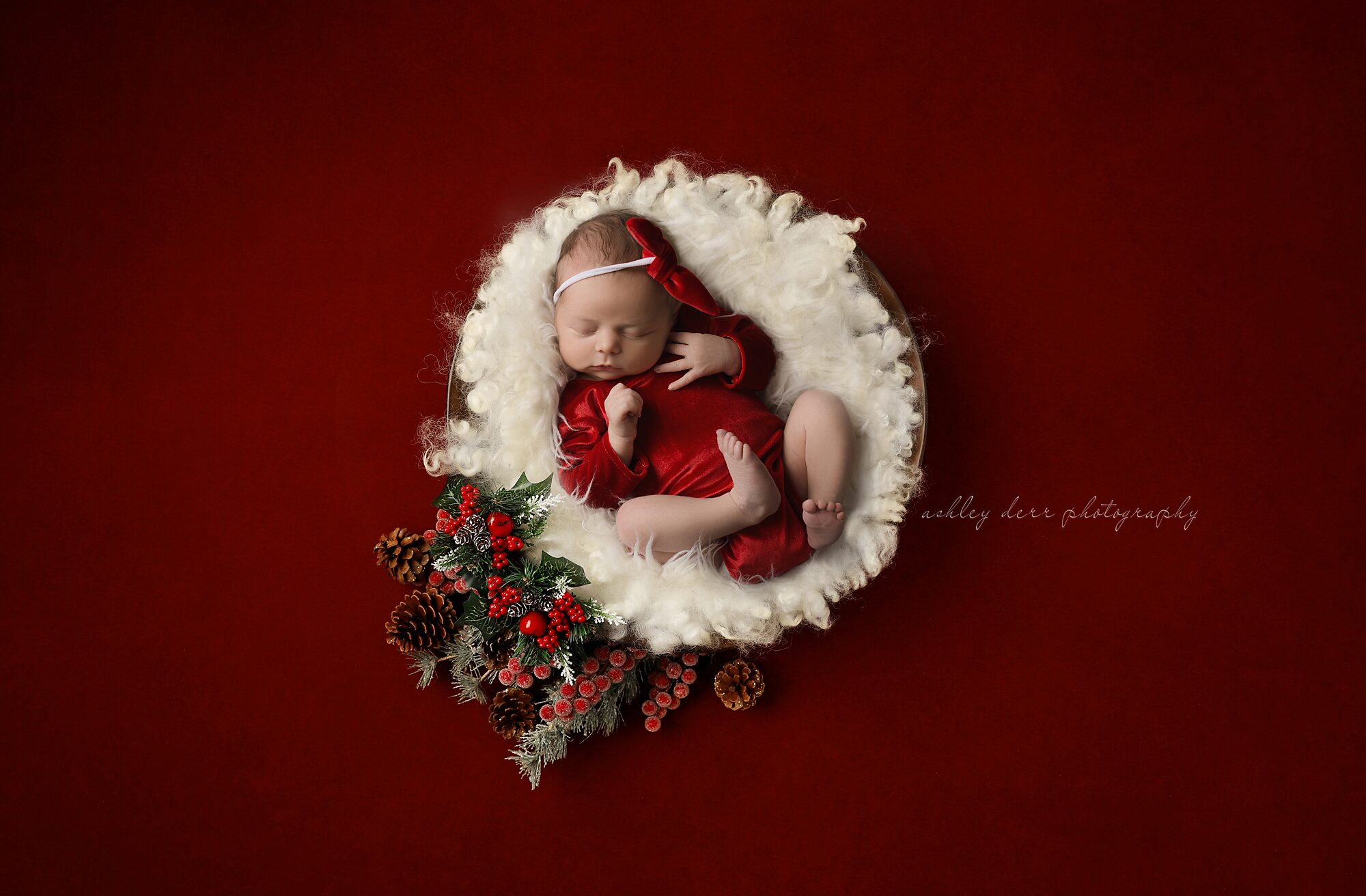 Newborn photographer 15209