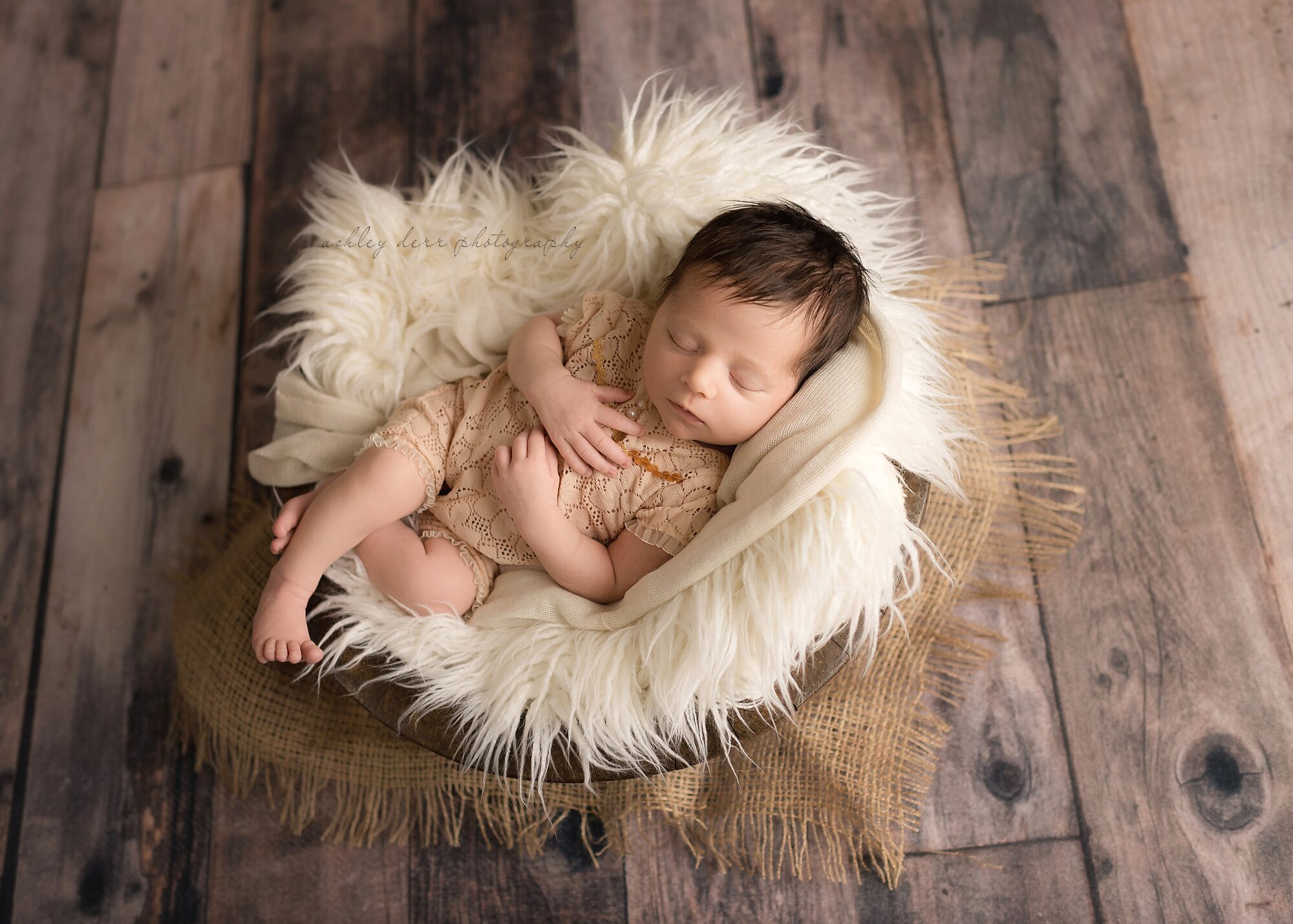wexford pa newborn photographer