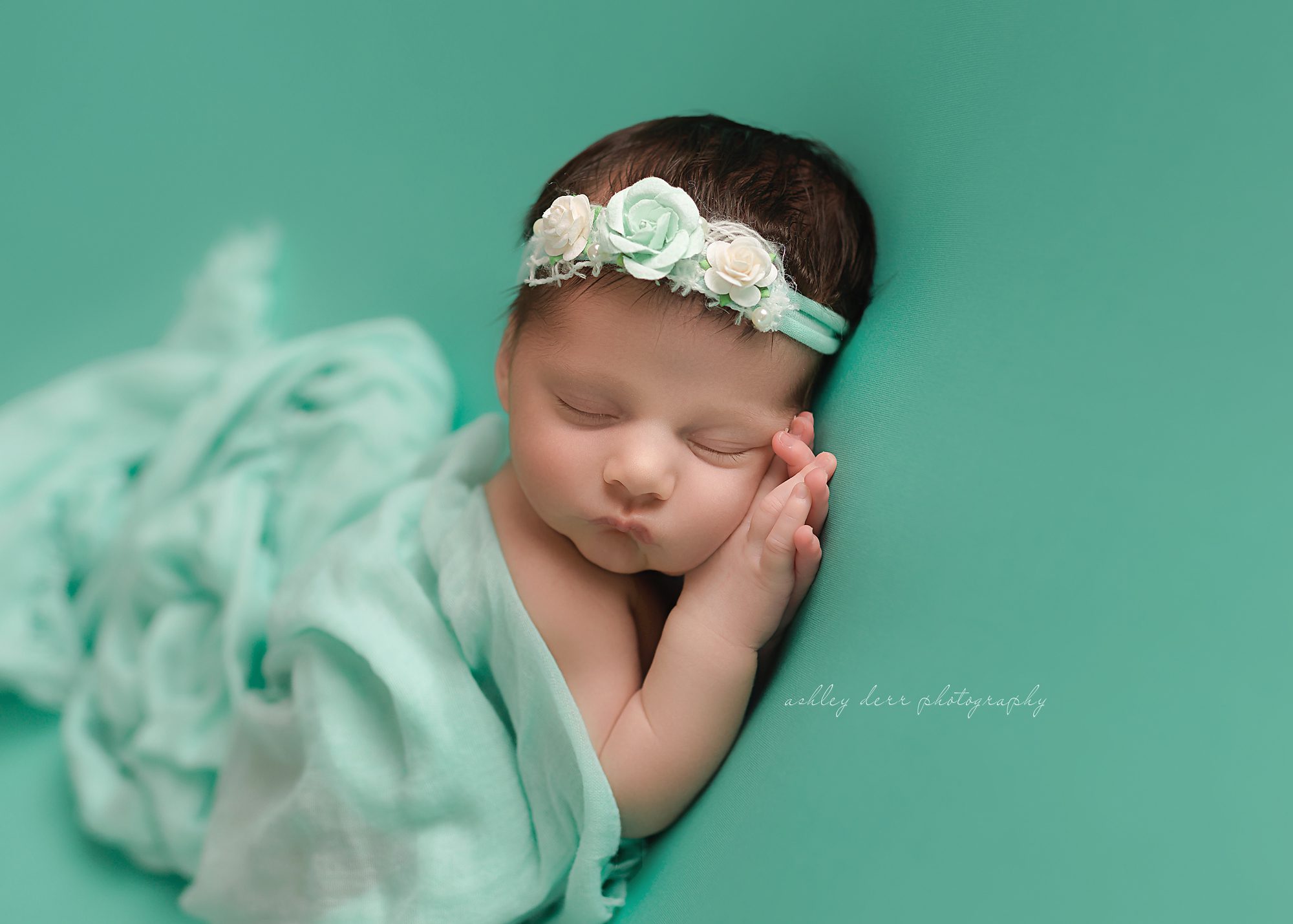 wexford pa newborn photographer