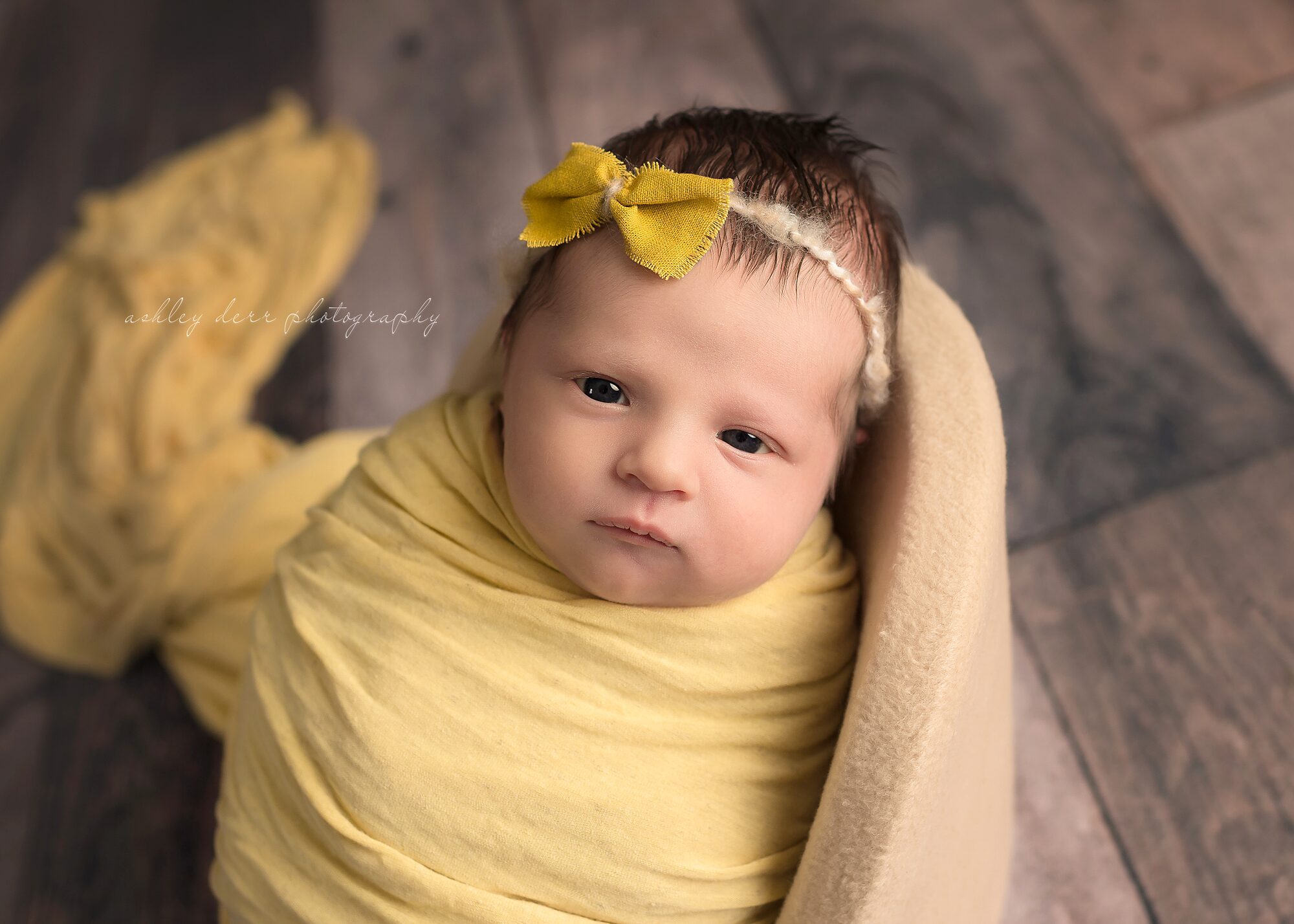 newborn photographer pittsburgh 15202