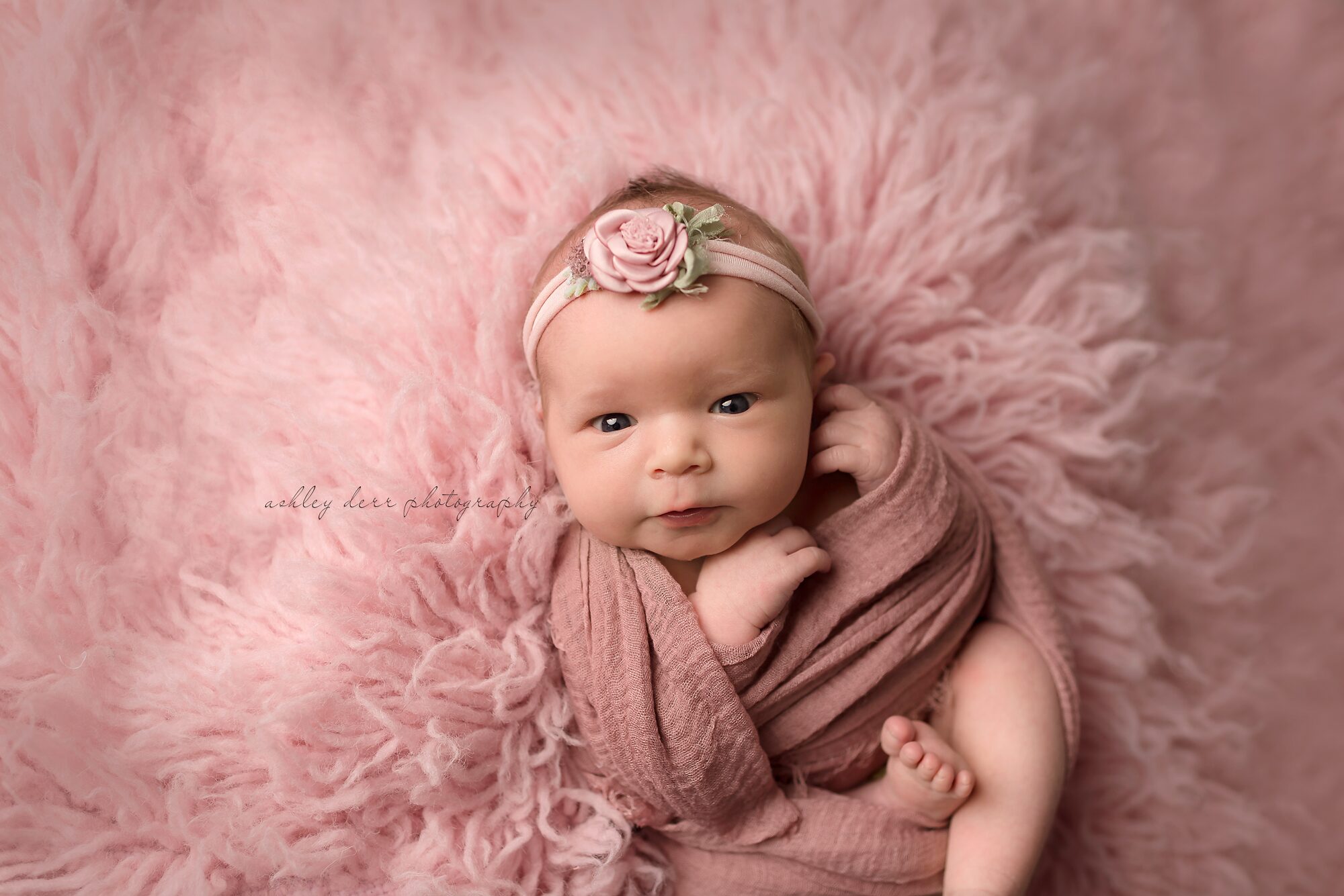 Newborn photographer 15214