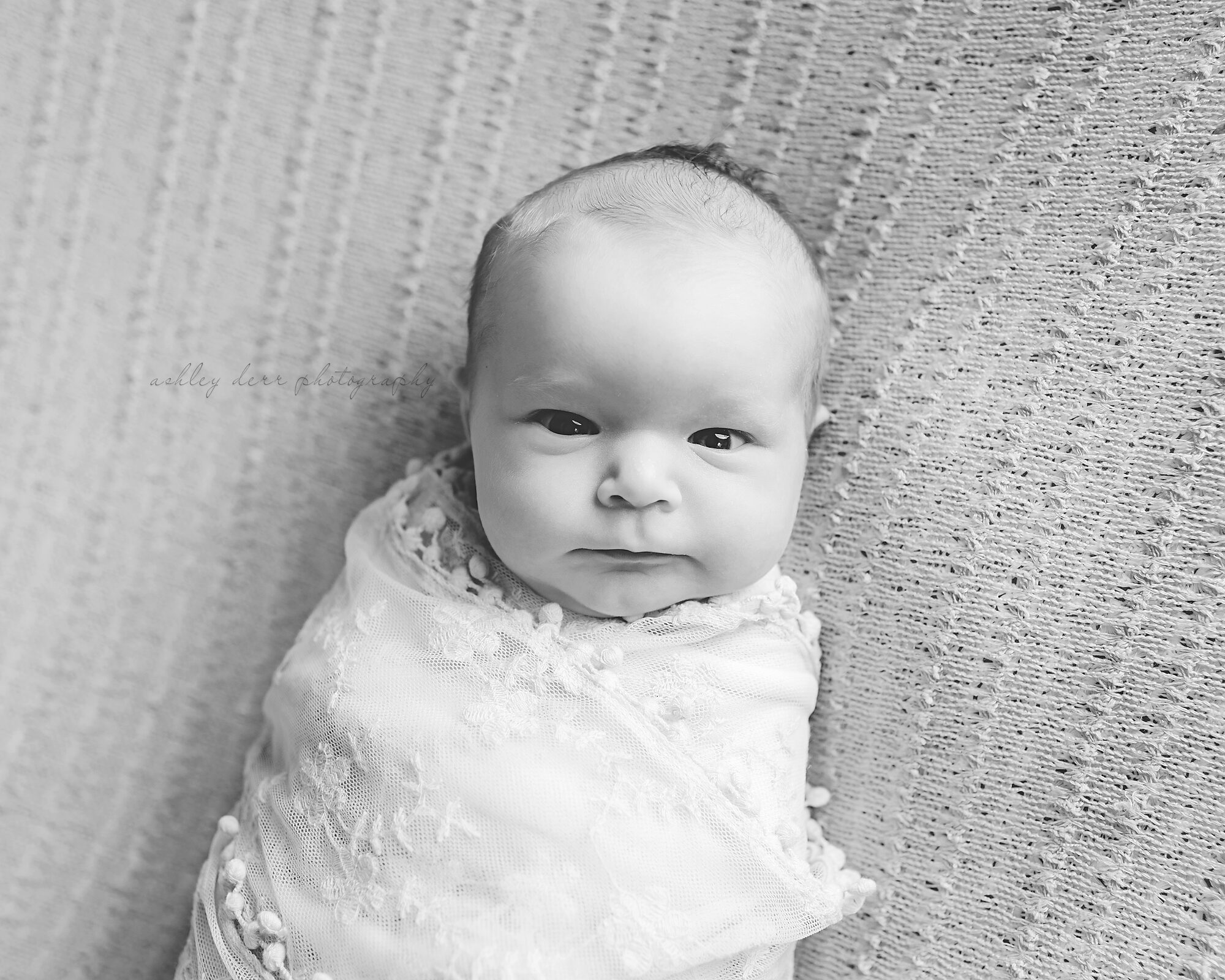 Newborn photographer 15214