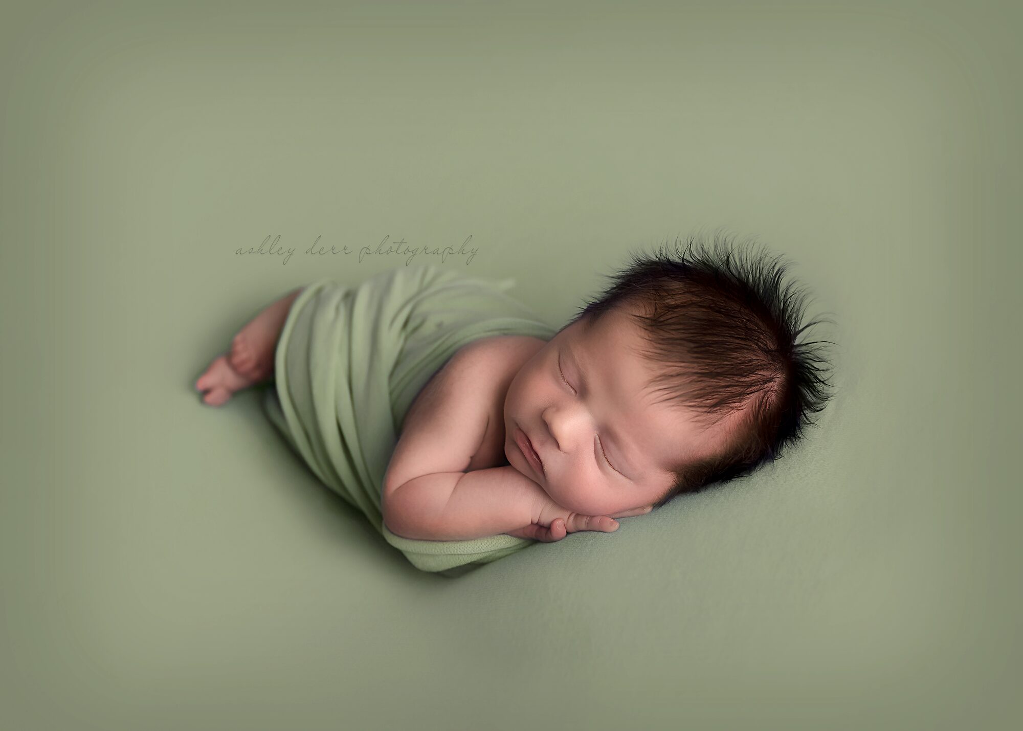 gibsonia pa newborn baby photographer 