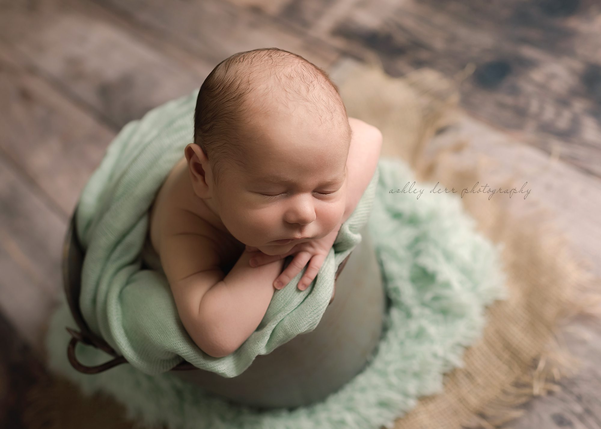 wexford pa newborn photographer