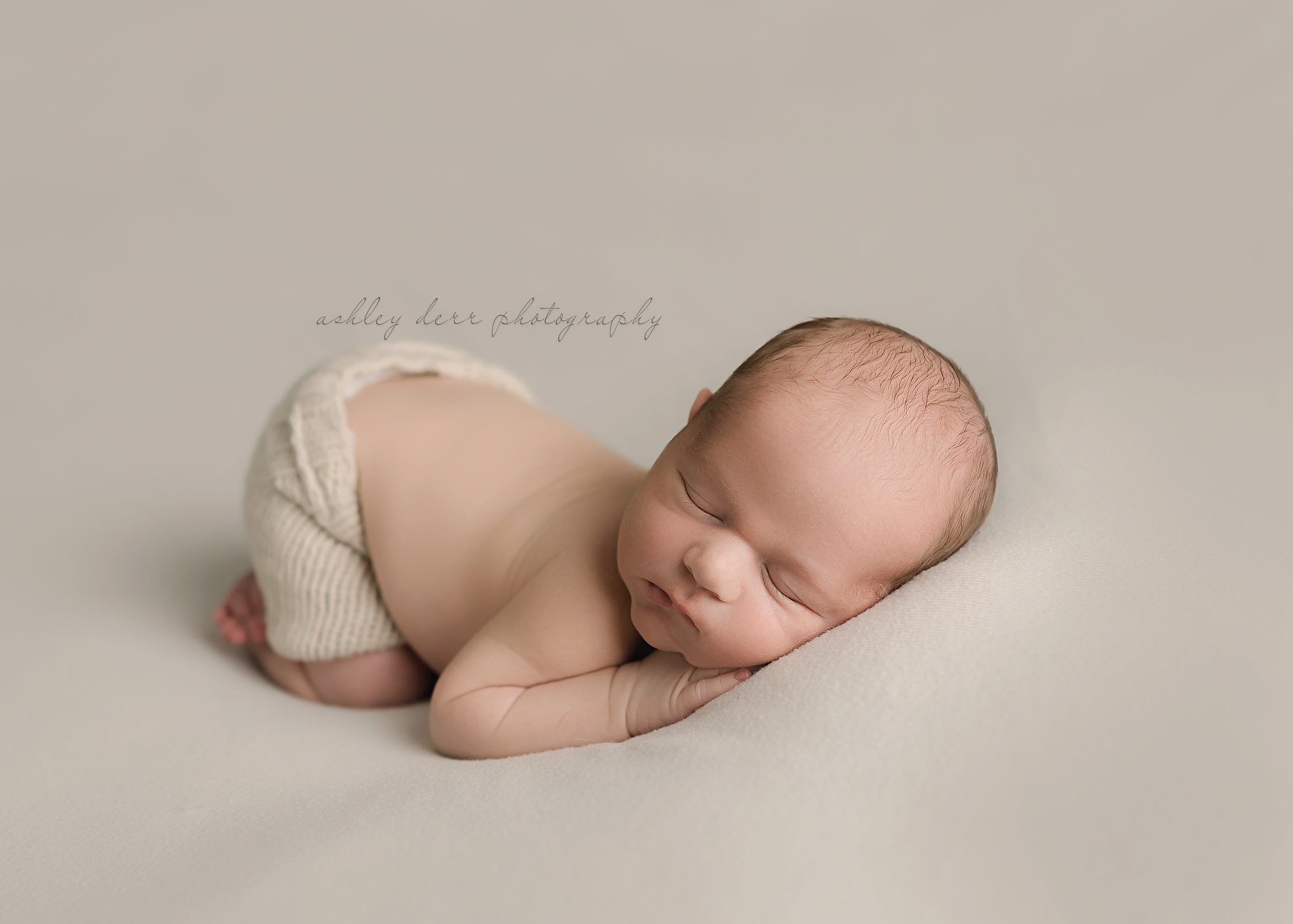 wexford pa newborn photographer