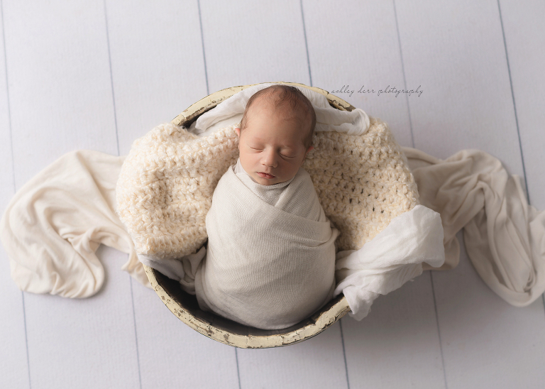 export pa newborn photographer