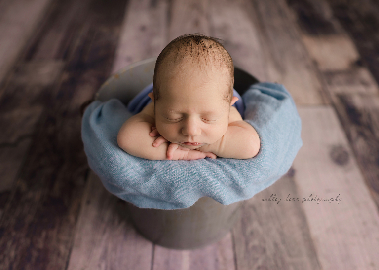 export pa newborn photographer