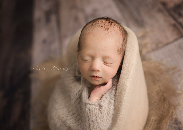 export pa newborn photographer