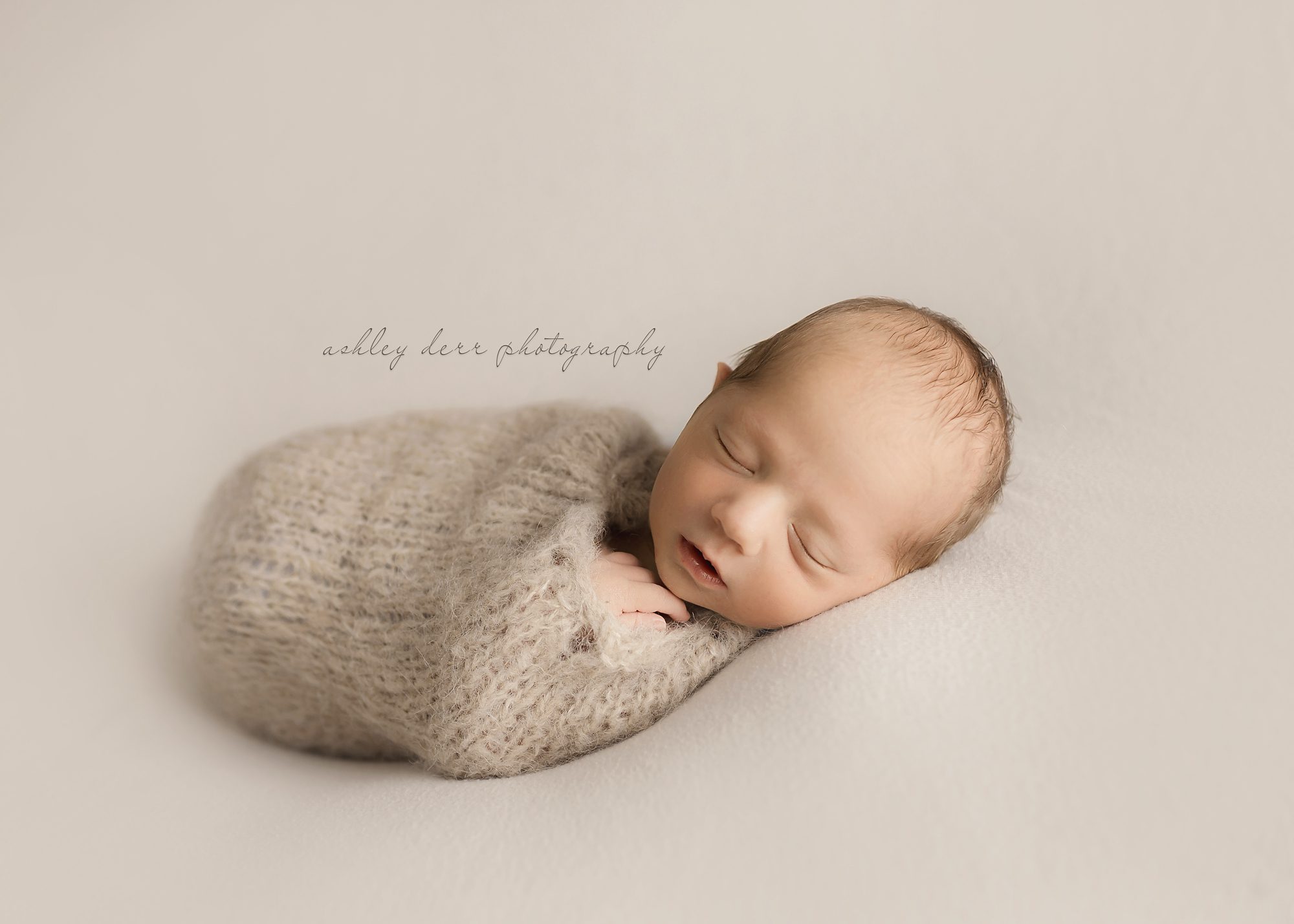 export pa newborn photographer
