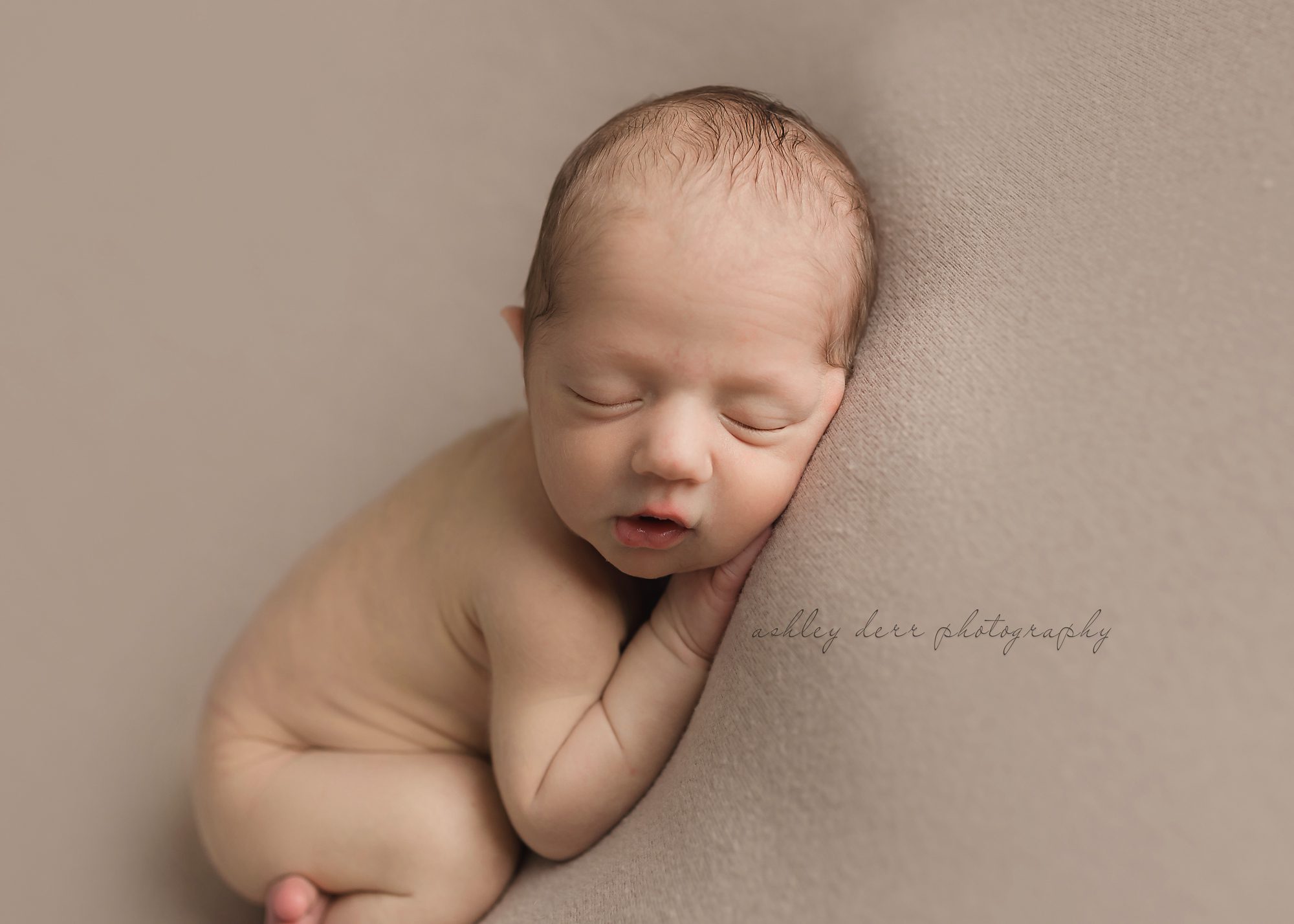 export pa newborn photographer