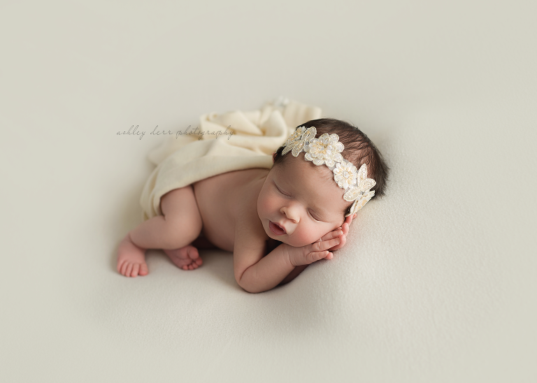 Wexford PA newborn photographer