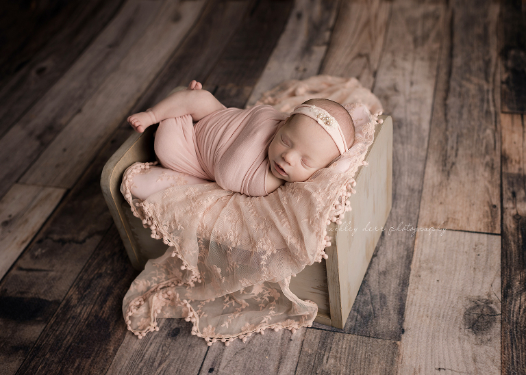 cranberry two newborn photographer