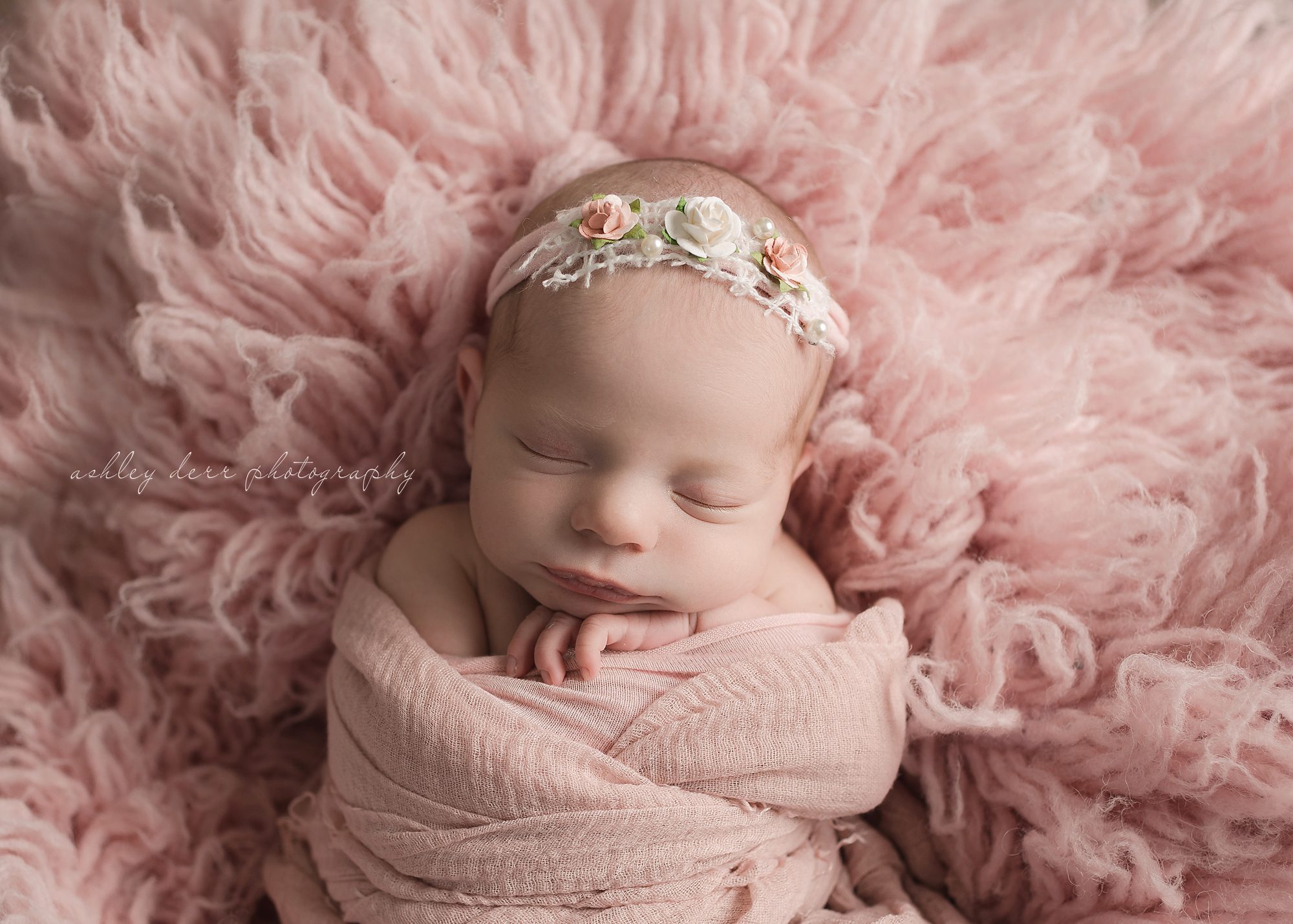 cranberry two newborn photographer