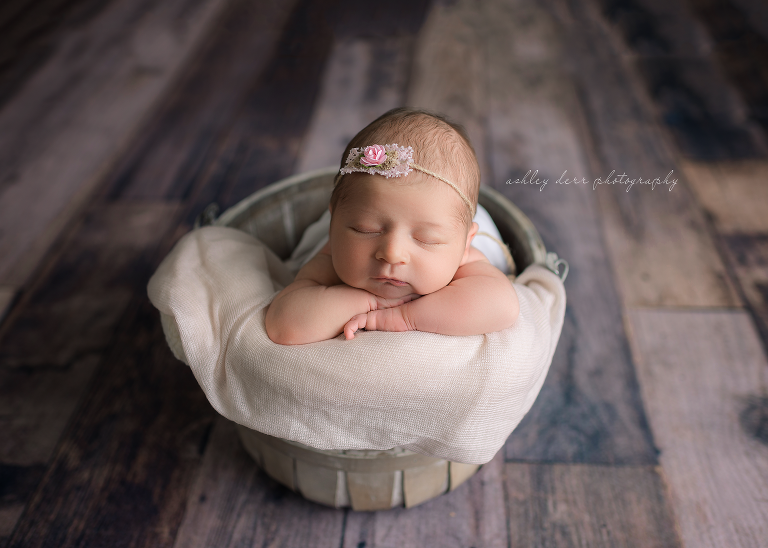 Eliza Brooke - Baden newborn photographer - Pittsburgh Newborn ...