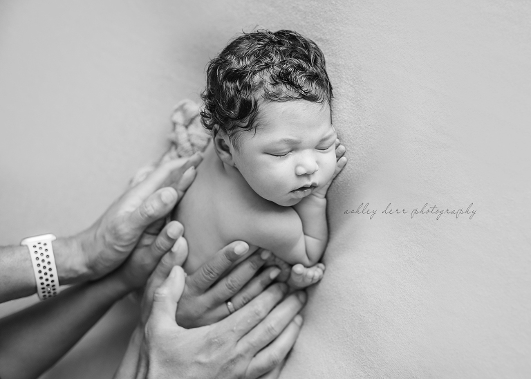 wexford newborn photographer