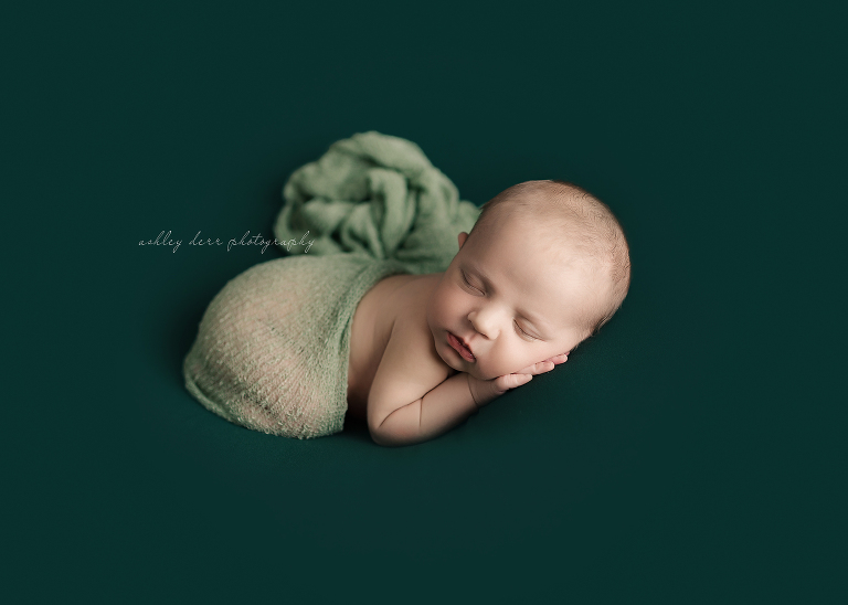 Evans city Pittsburgh newborn photographer