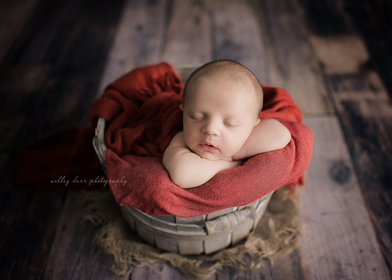 Evans city Pittsburgh newborn photographer