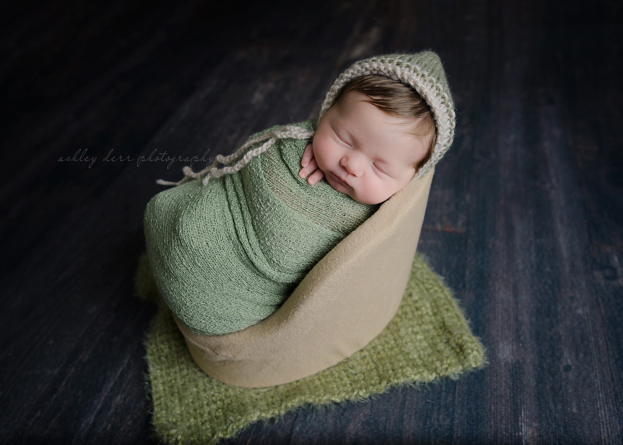 Cranberry Twp PA newborn photographer