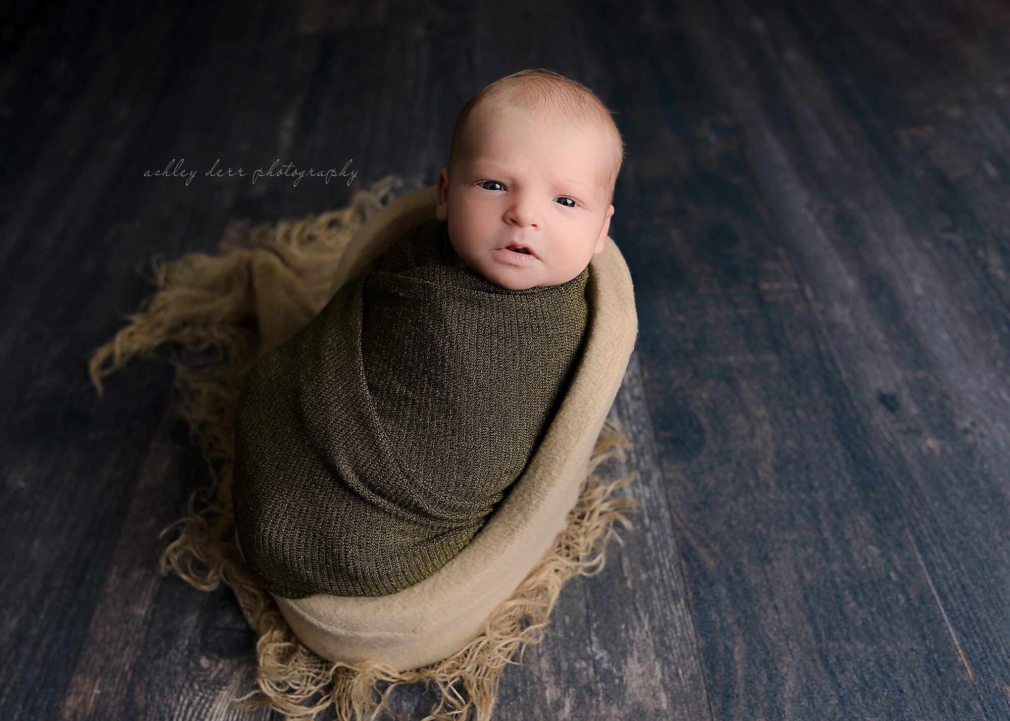 McKees Rocks Pittsburgh newborn photographer