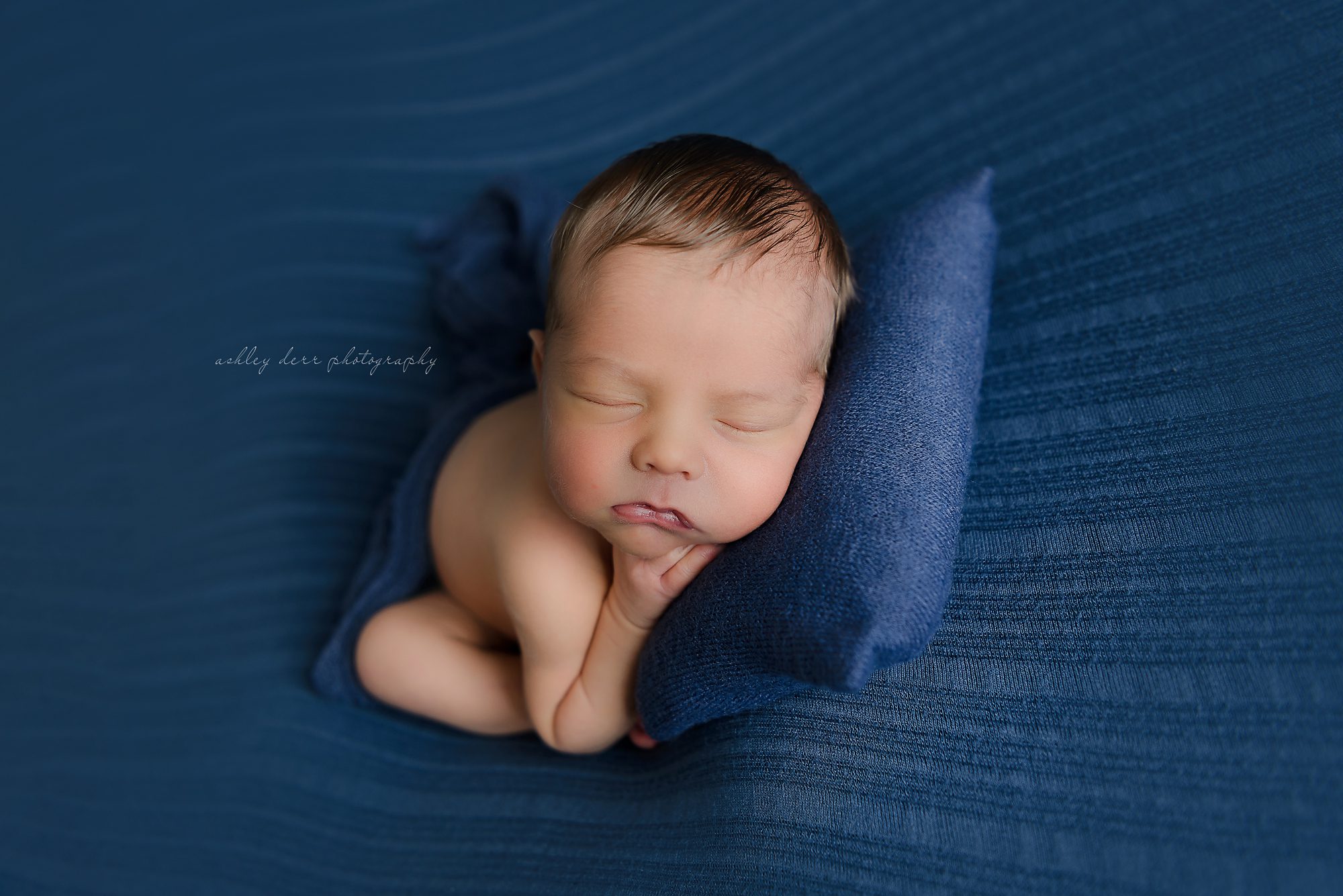 Jeannette 15644 newborn photographer