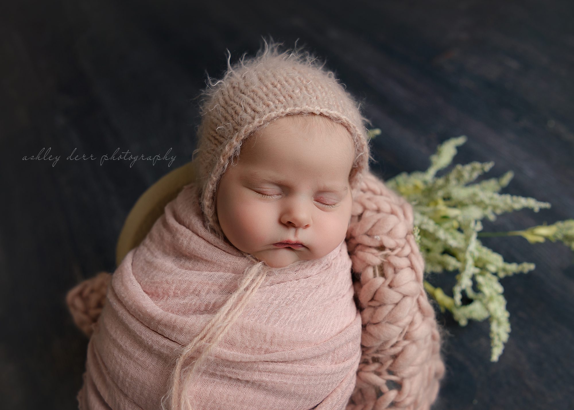 Newborn photographer Pittsburgh
