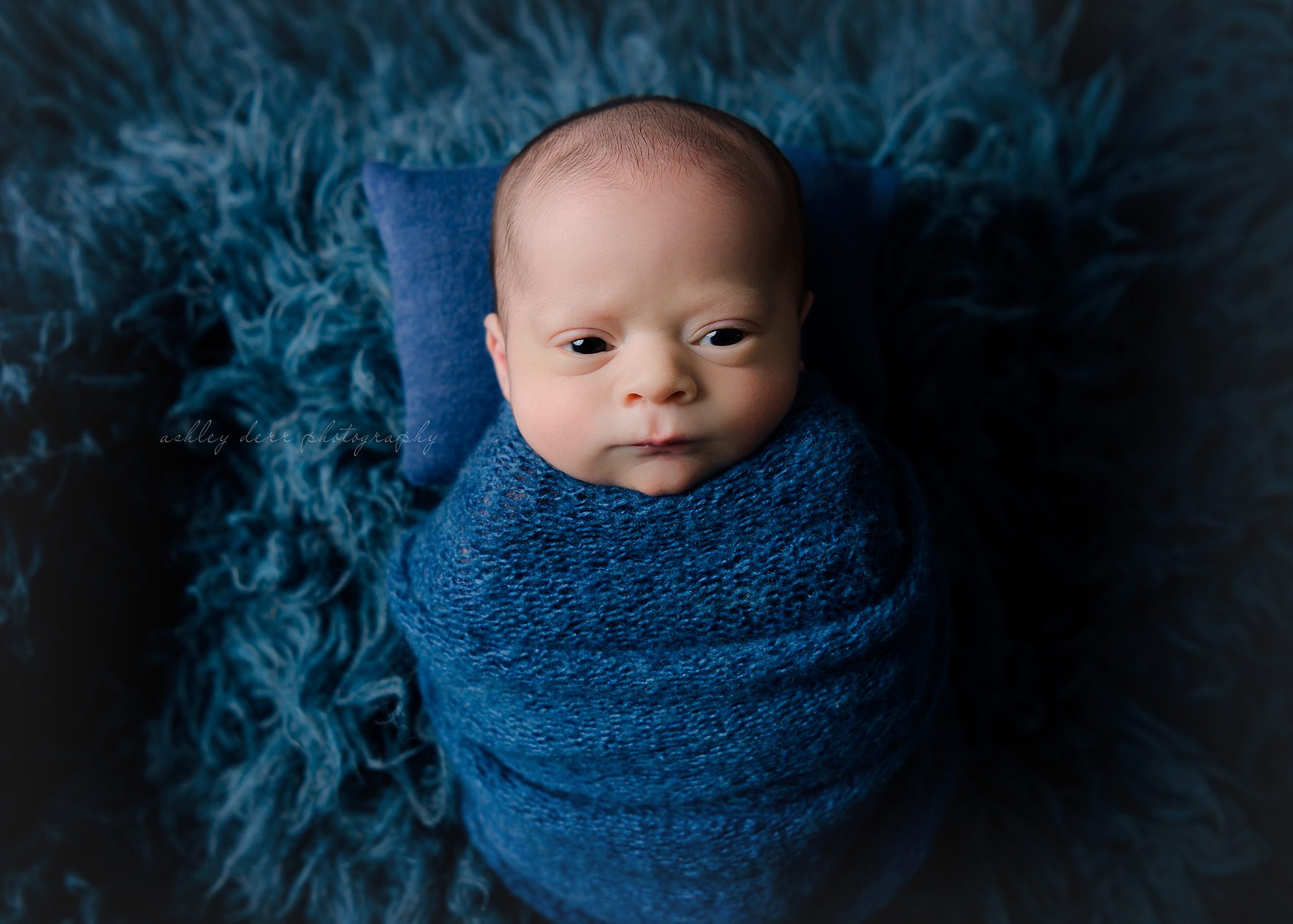 Pittsburgh Newborn Photography