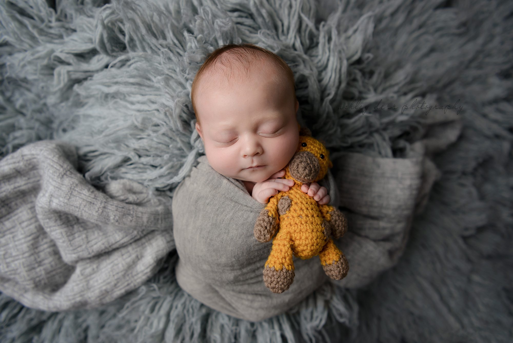 Pittsburgh Newborn Photographer
