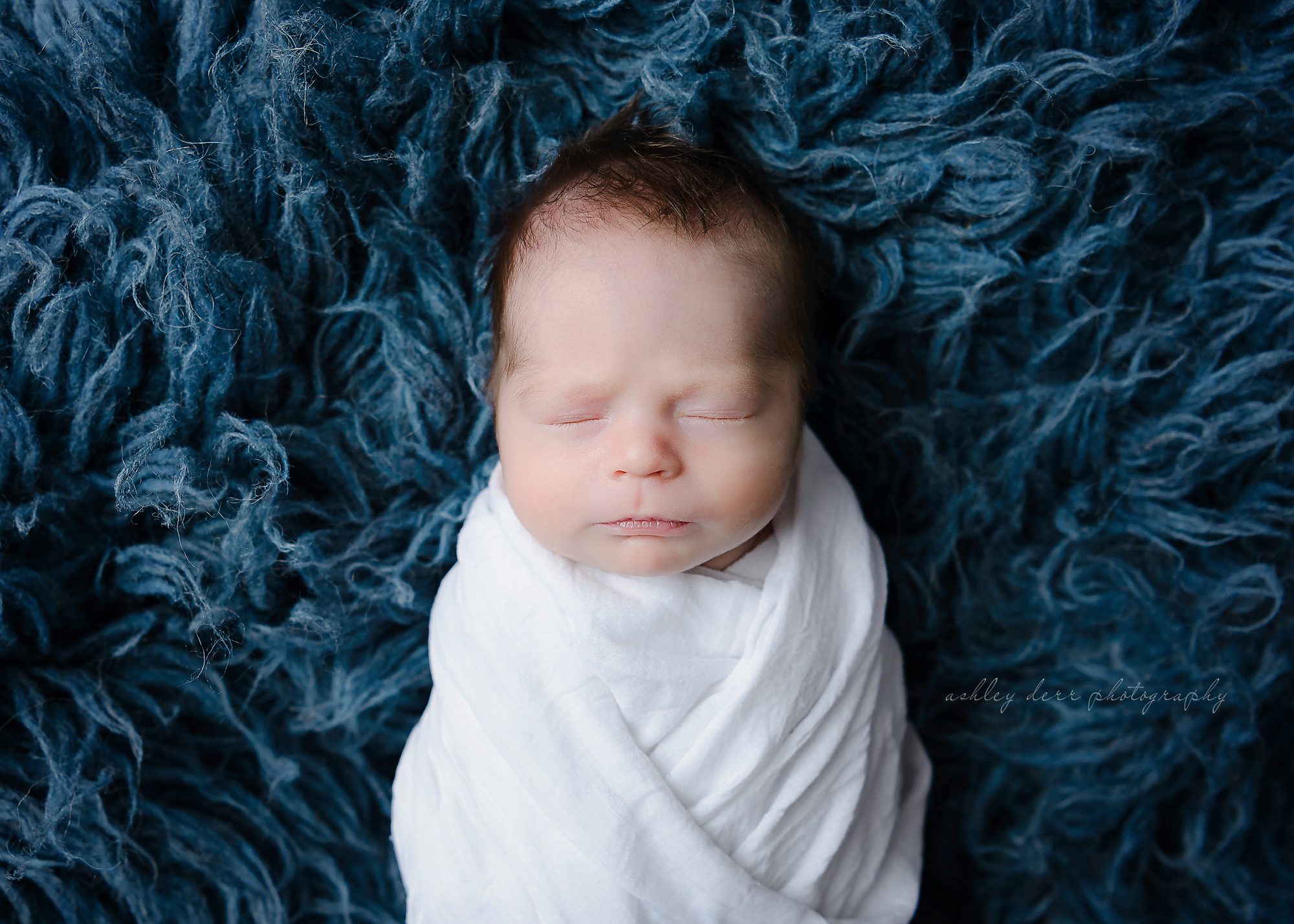 best newborn twin photographer in Pittsburgh