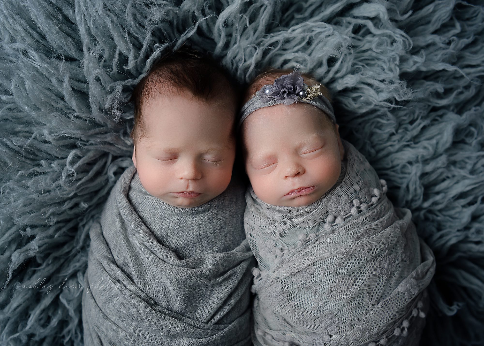 best newborn twin photographer in Pittsburgh