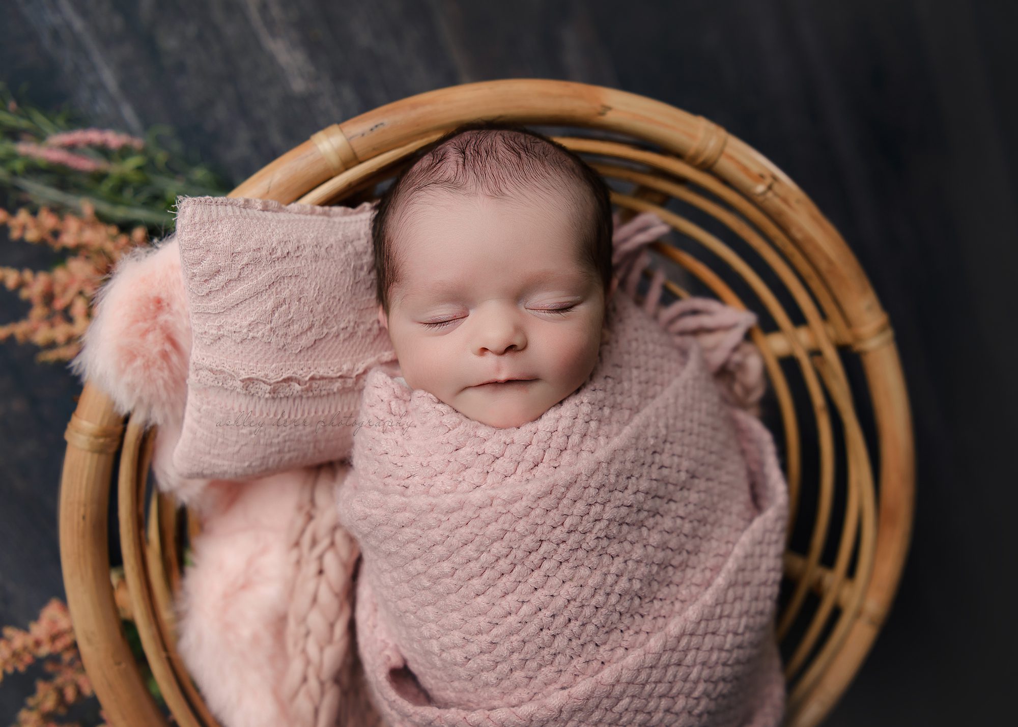 best Baden PA newborn photographer Pittsburgh