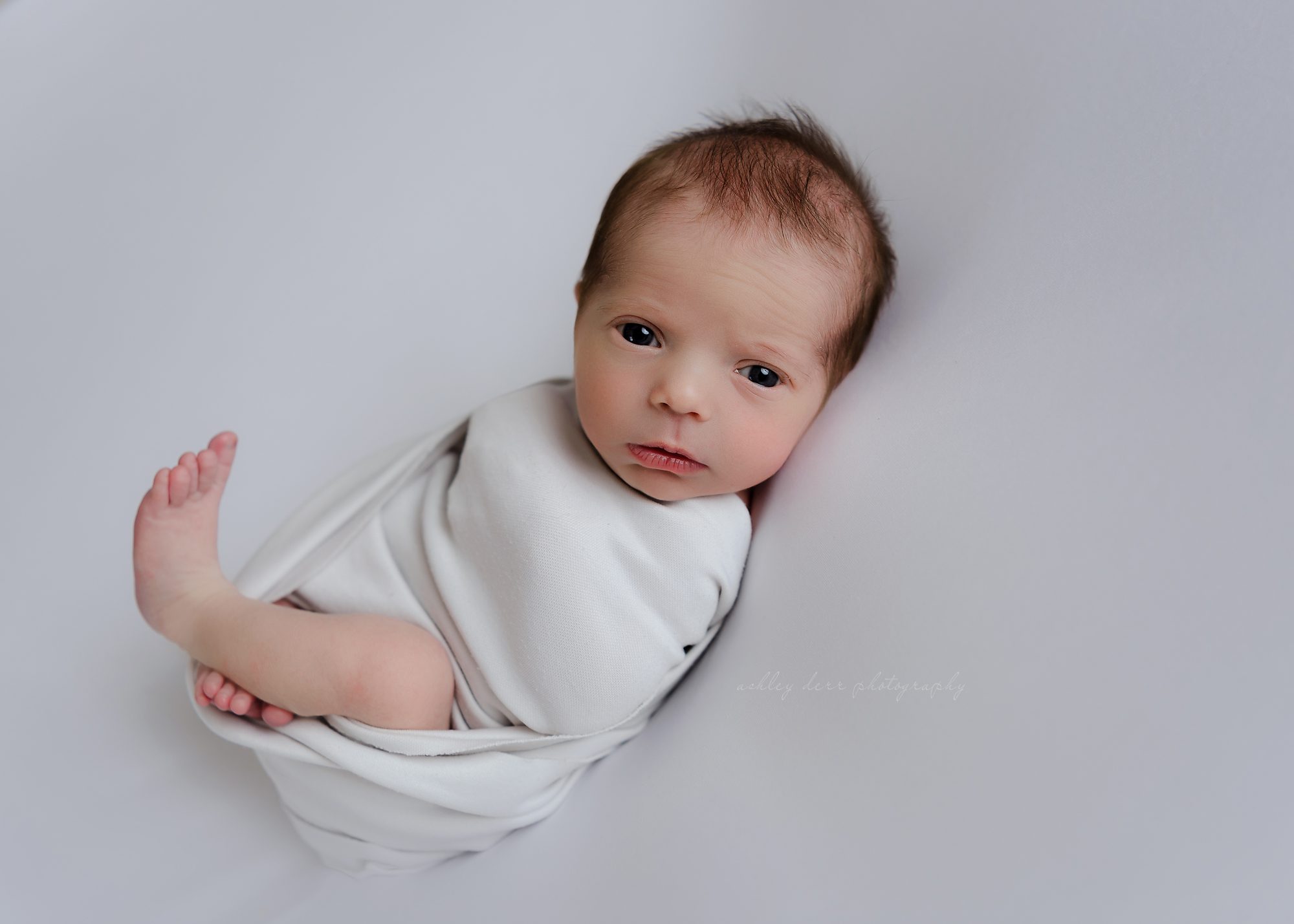 best newborn photographer near Pittsburgh PA