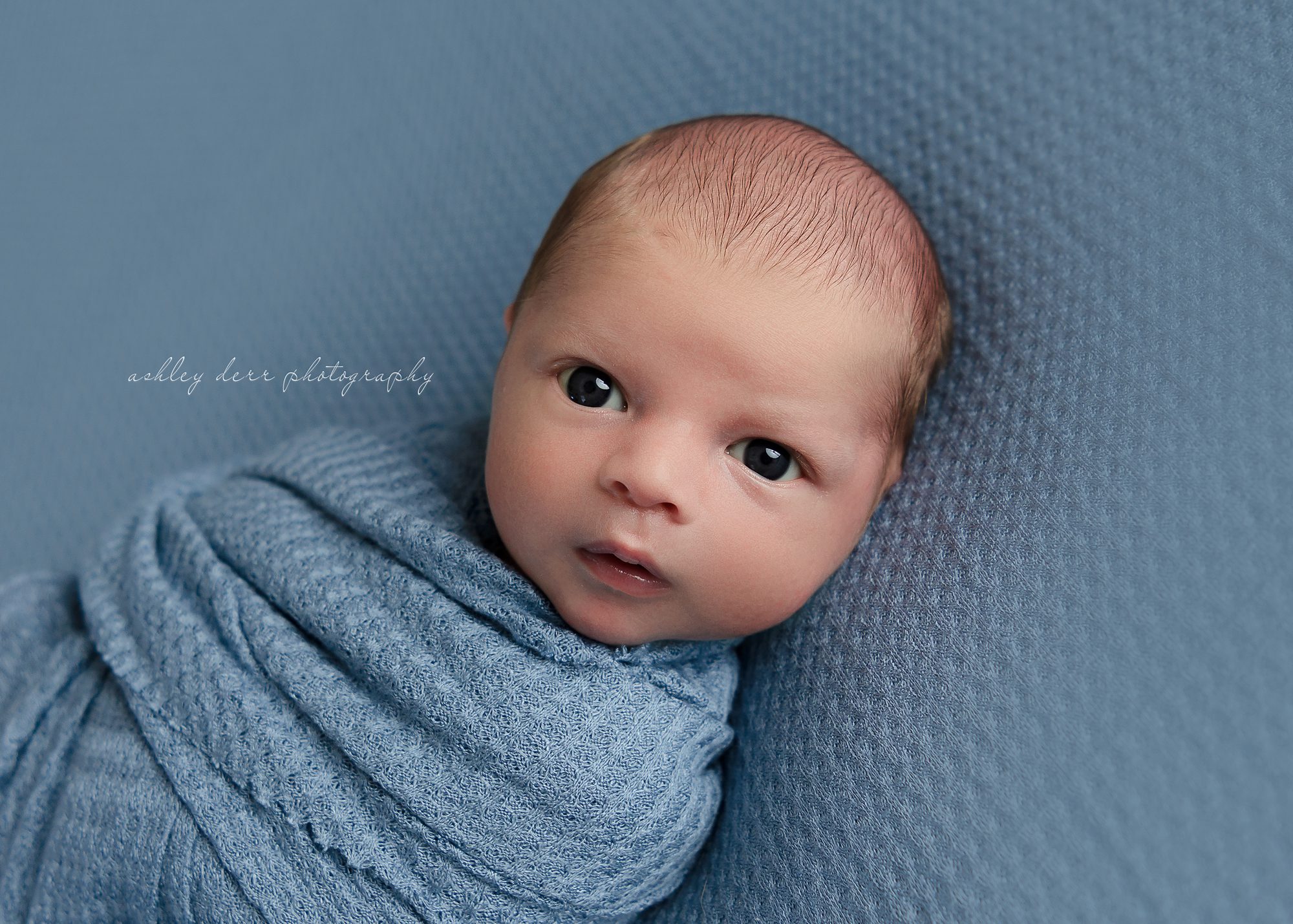 Top rated Newborn Photographer Pittsburgh