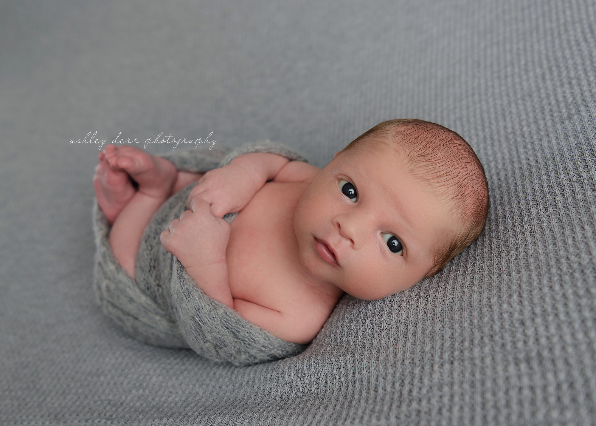 Top rated Newborn Photographer Pittsburgh