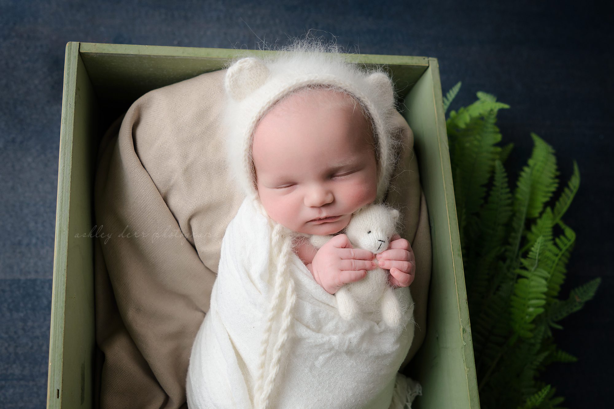 Pittsburgh Newborn Photography