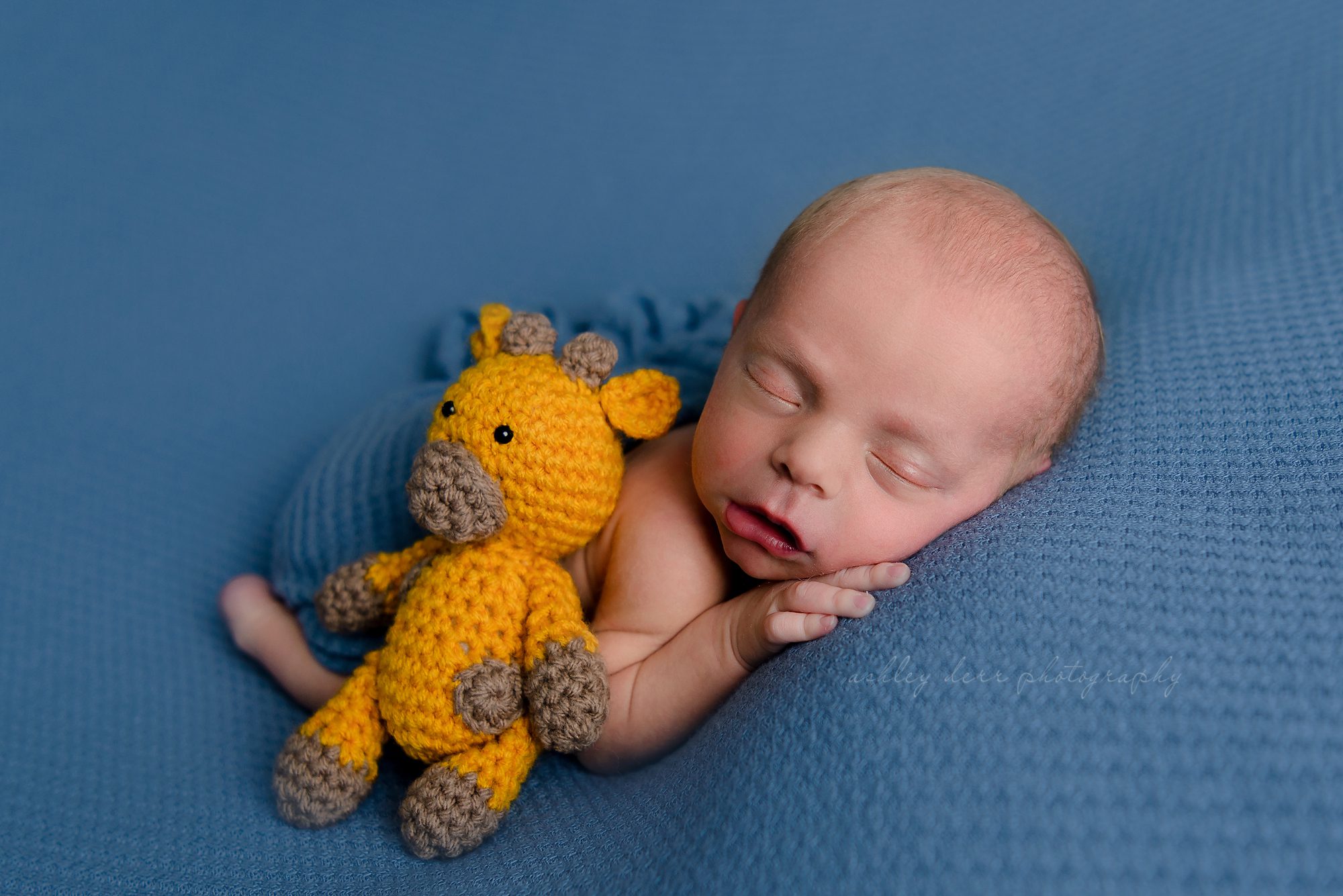 best Newborn photographer wexford pa