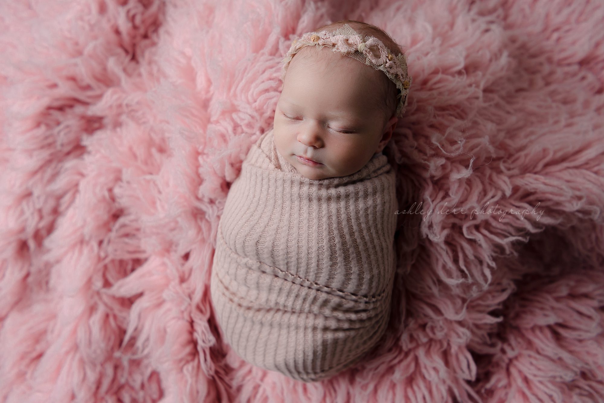 Best Gibsonia PA Newborn Photography