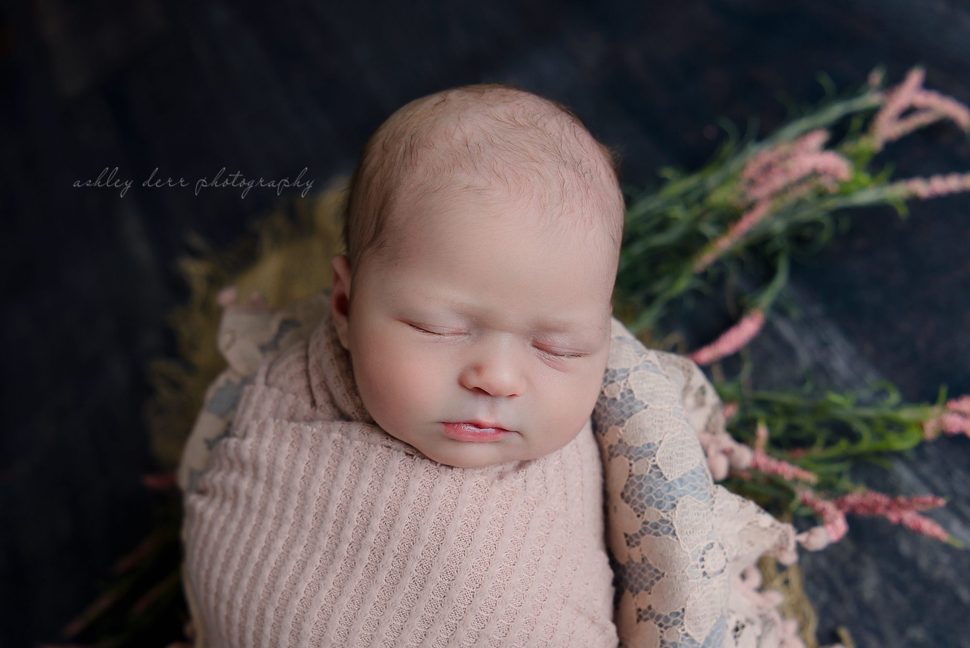 Best Gibsonia PA Newborn Photography