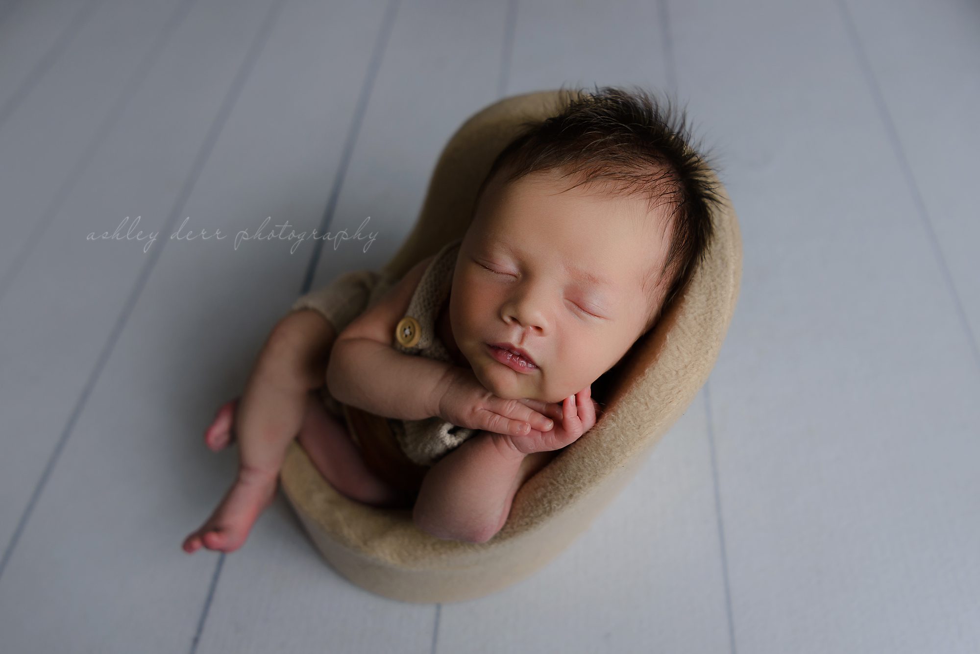 Allison Park PA Newborn Photographer