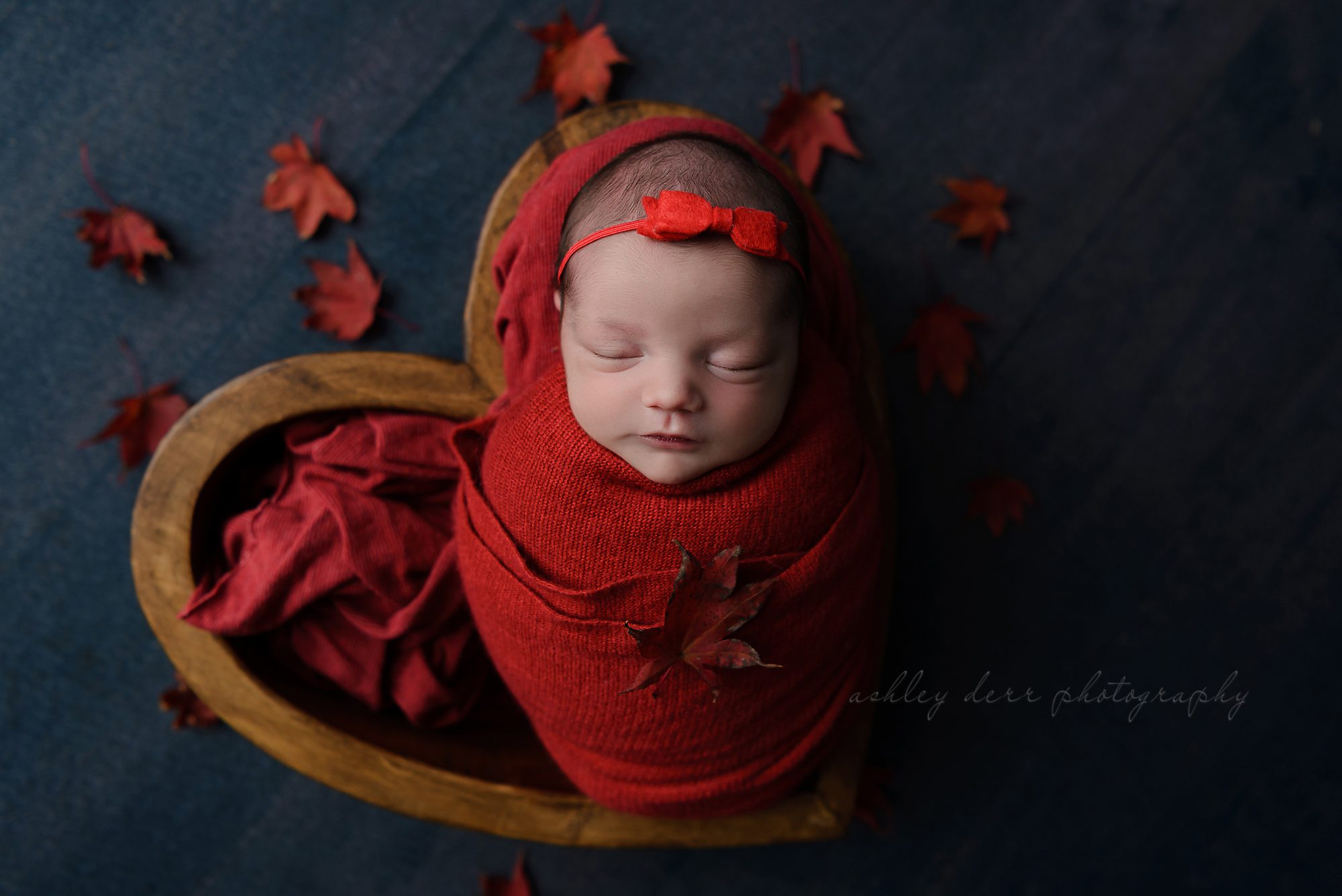 Gibsonia PA Newborn Photography